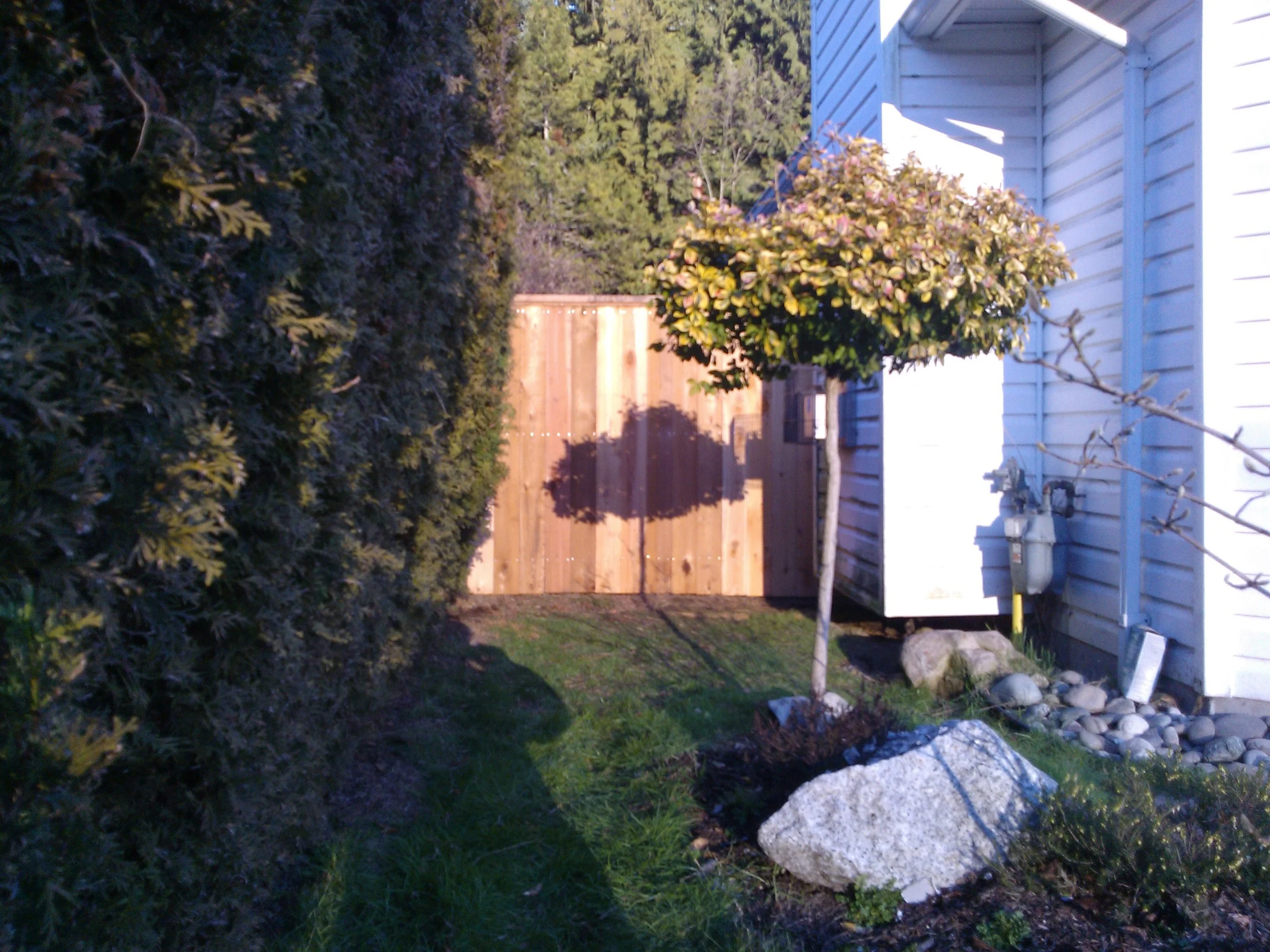 WP_001171.jpg