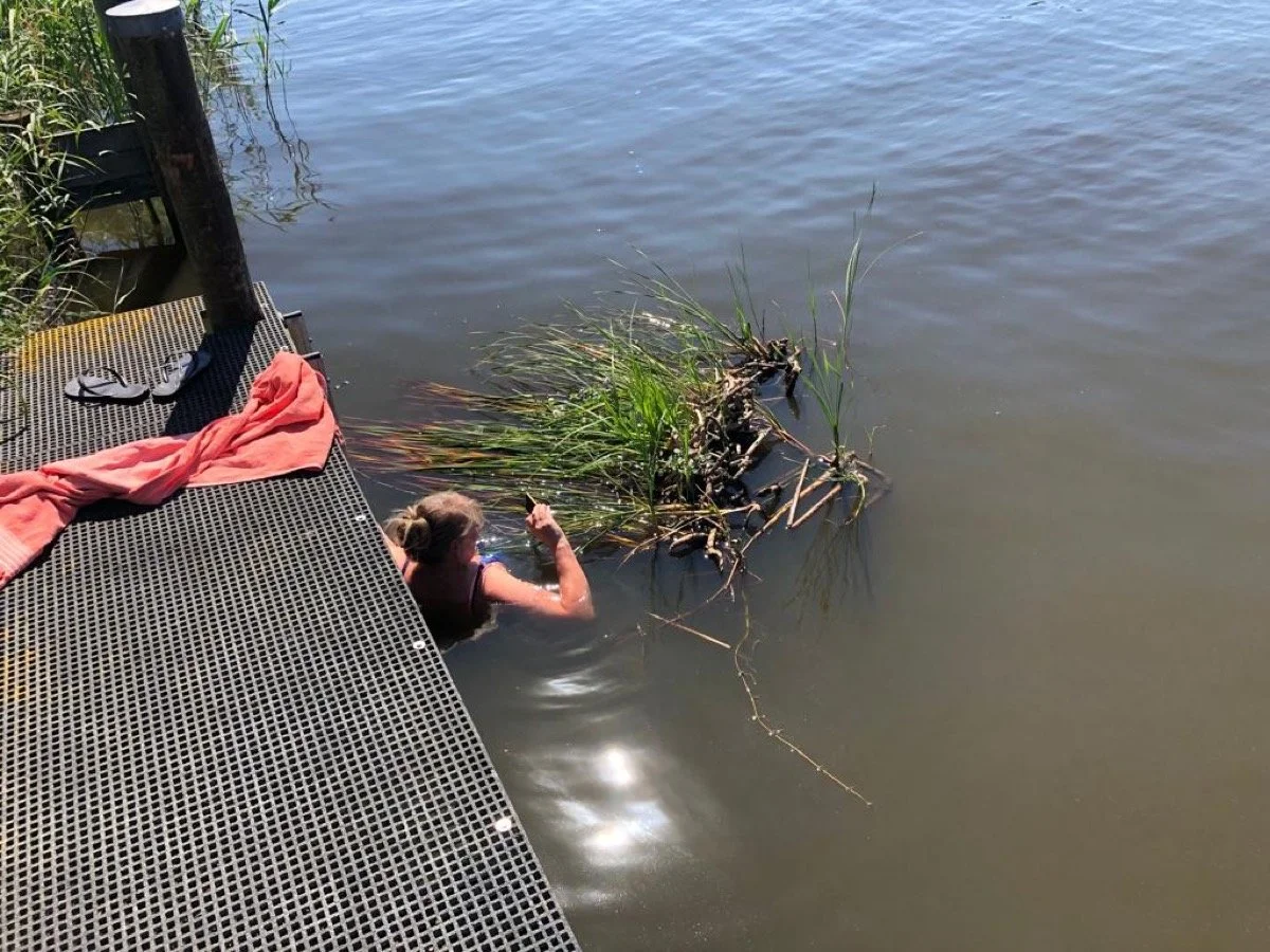 In Friesland; het onderzoek voor silent battleships