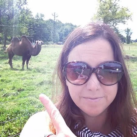  Ollie the camel lives by the side of the road. &nbsp; He's pretty great. &nbsp;Taken with my iPhone, cause it's not high art. &nbsp;I just wanted a selfie with a camel. &nbsp;