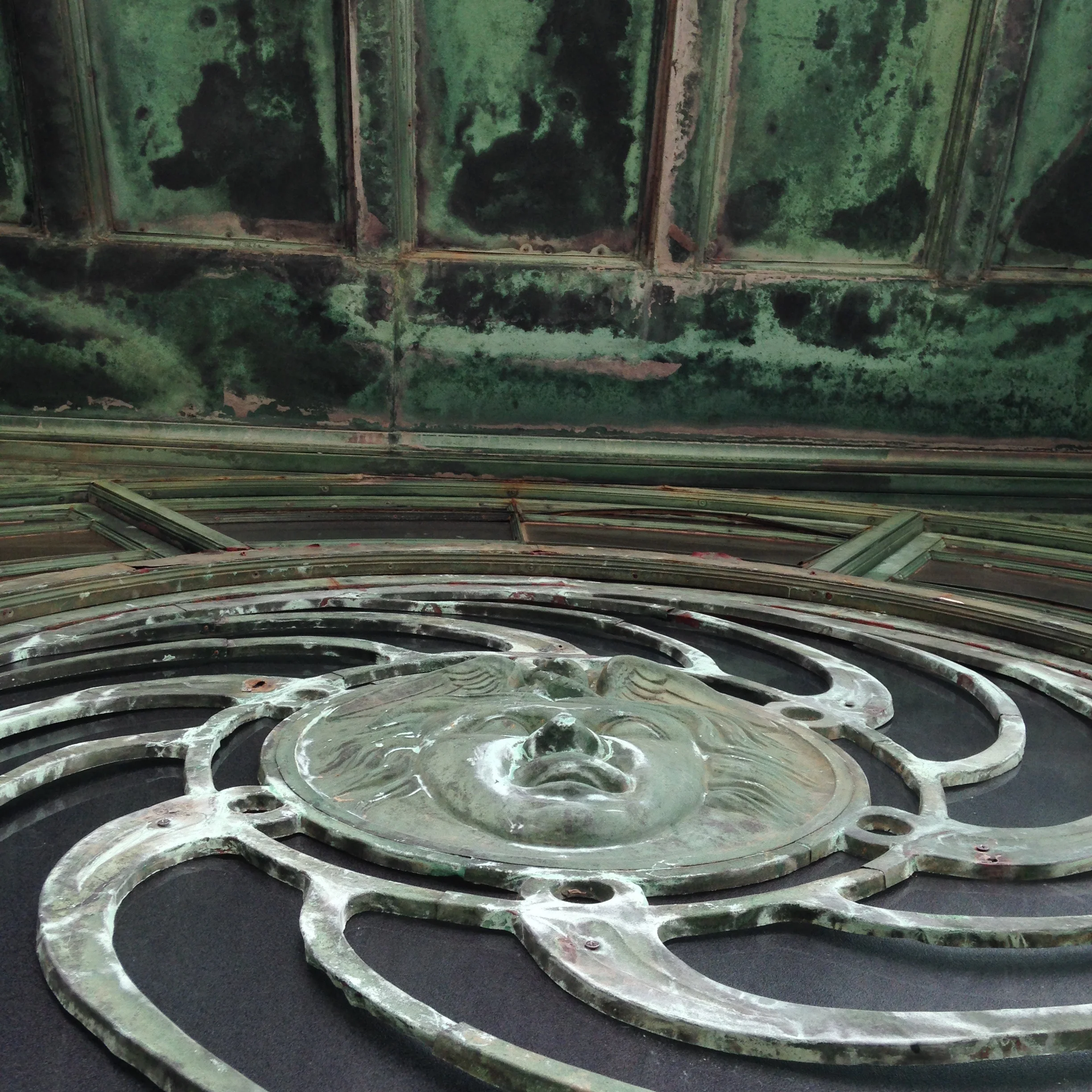 Iphone picture looking up up up. 