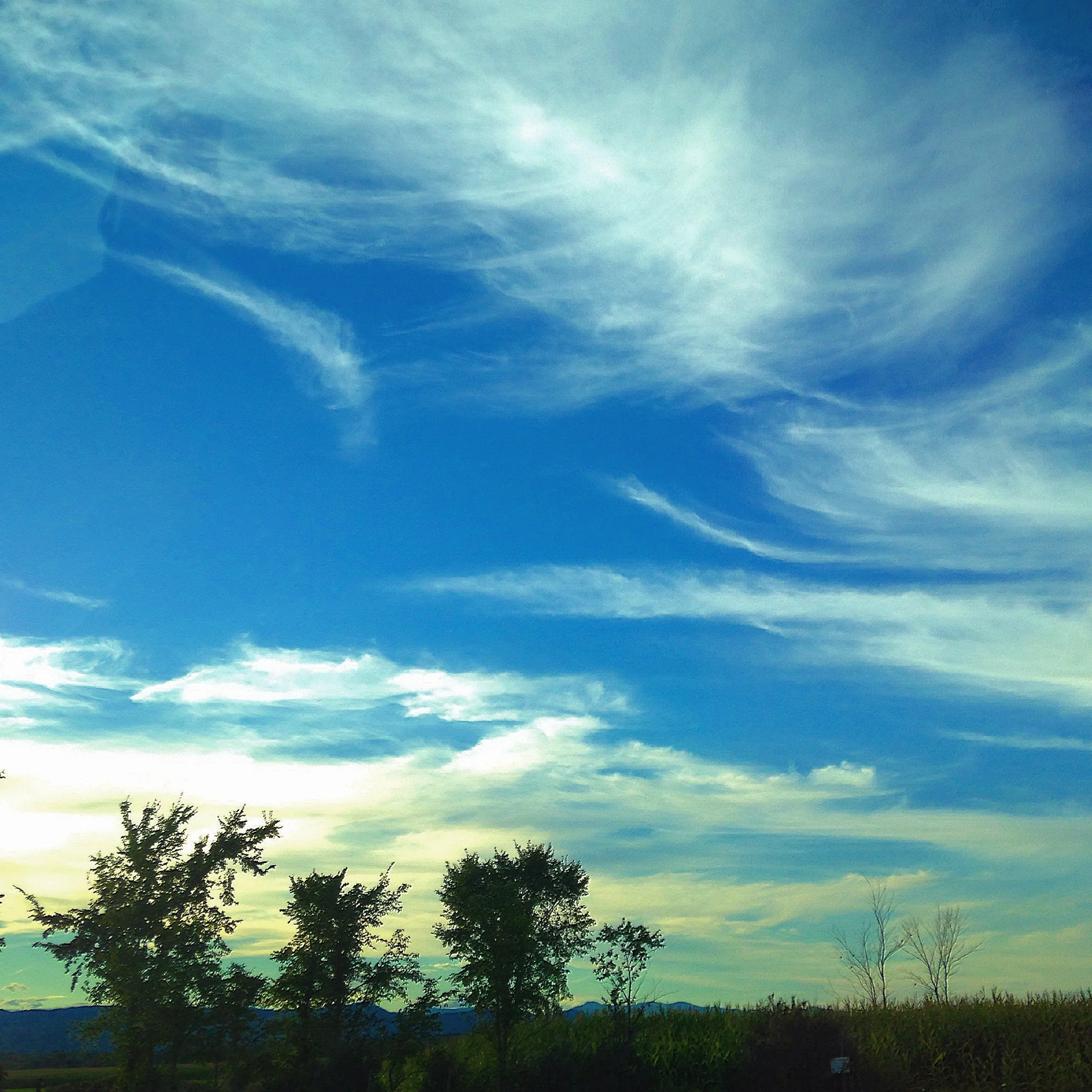 I'll never forget the moment I took this picture. &nbsp;I was kind of freaking out about the expansive sky and natural beauty and happiness. &nbsp;Then, from the backseat, I hear. &nbsp;"Hey guys, I just carted. &nbsp;That's when you cough and fart …