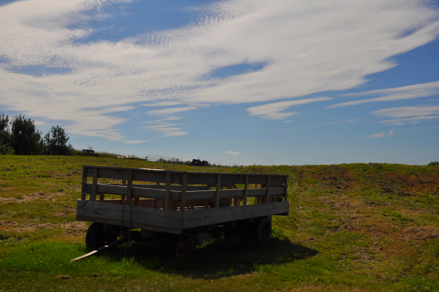 Apple farm. &nbsp;All the cider.&nbsp;