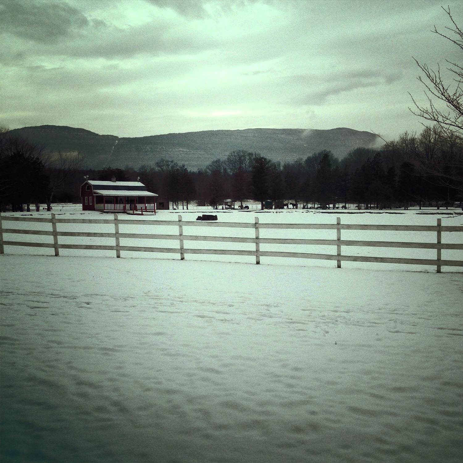 The view from our room. &nbsp;Taken with my iPhone while feeling bitter about alpacas.