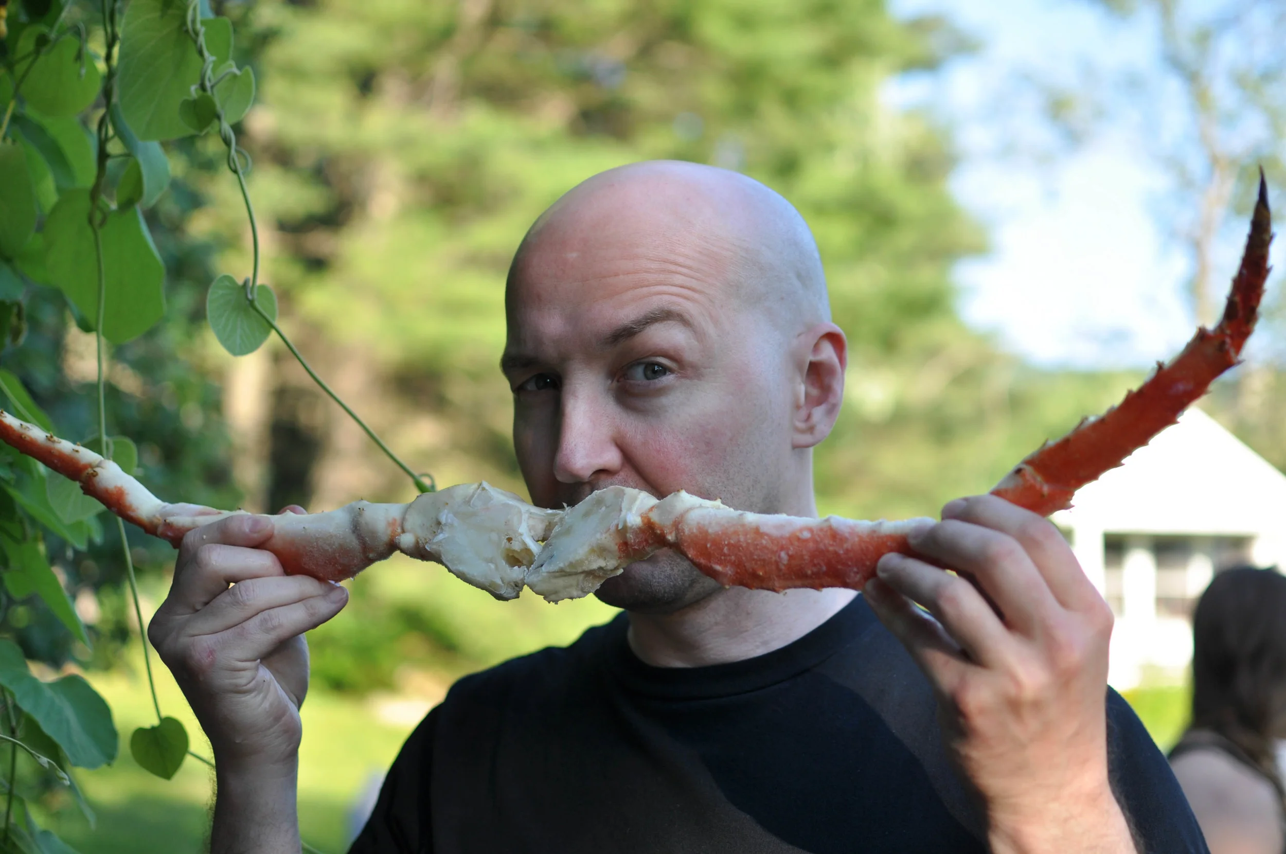 If Salvador Dali were a crustacean. &nbsp;