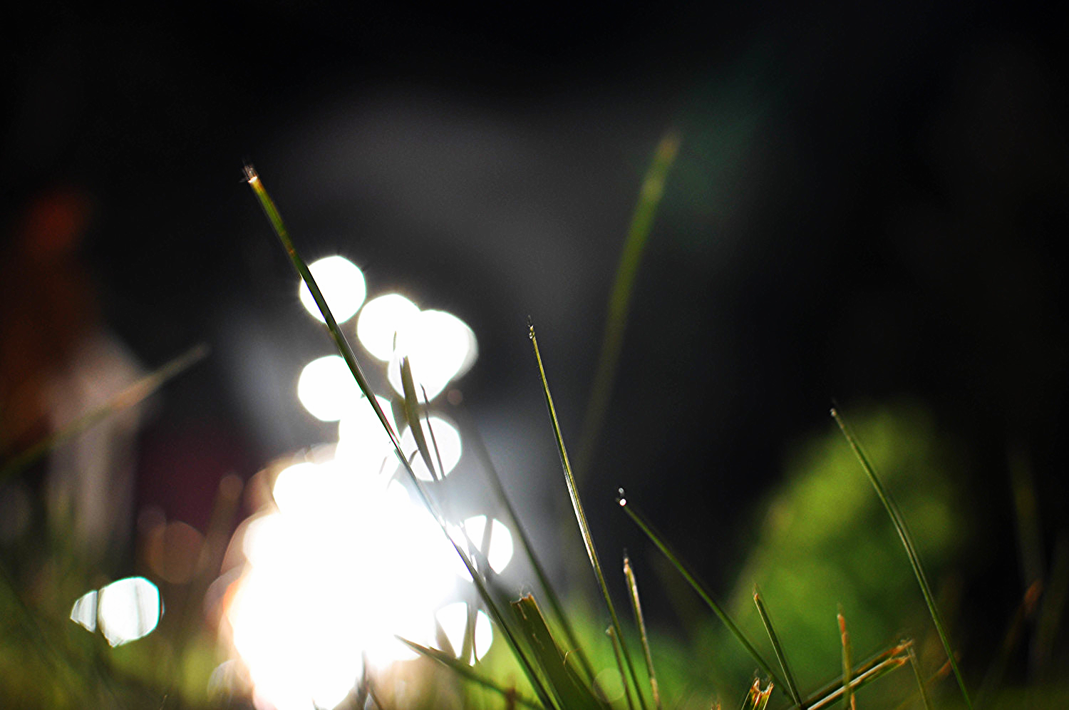 Ant's eye view of the fireworks. &nbsp;This one seemed like it was going to turn out better in my head.