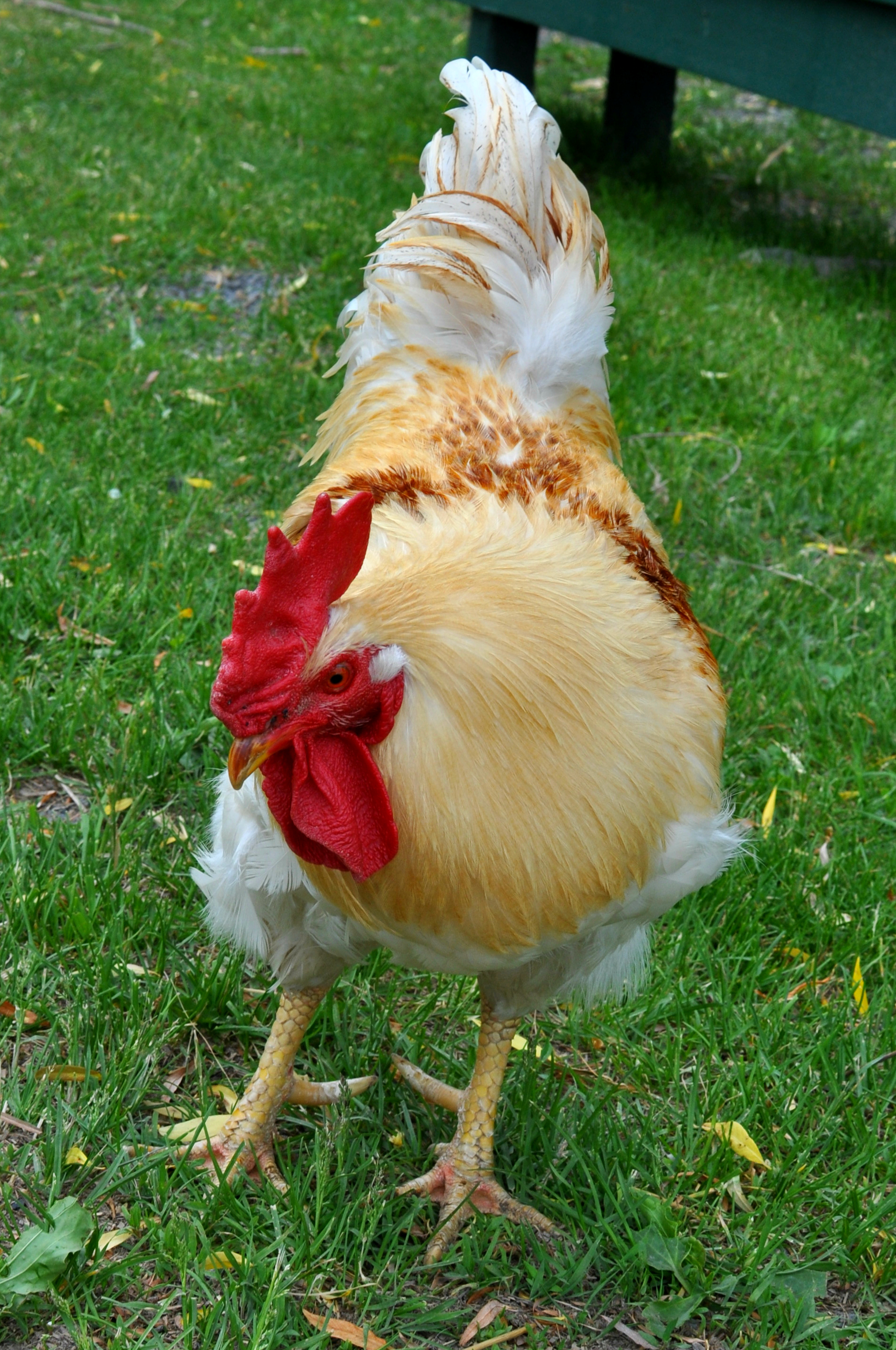 Mr. Peabody likes to help start the tours. &nbsp; 