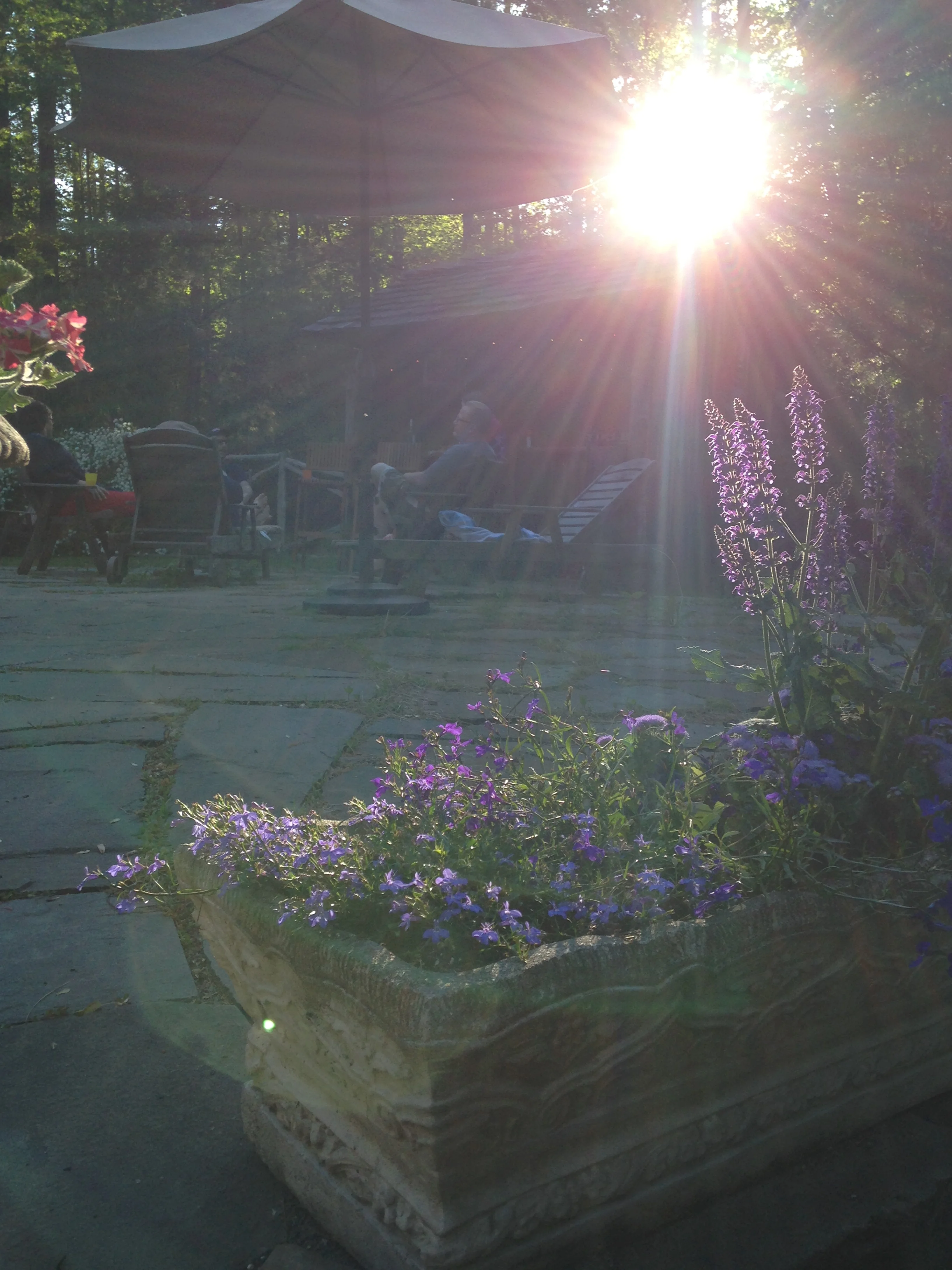 Taken with my iPhone while scoping out a lounge chair...