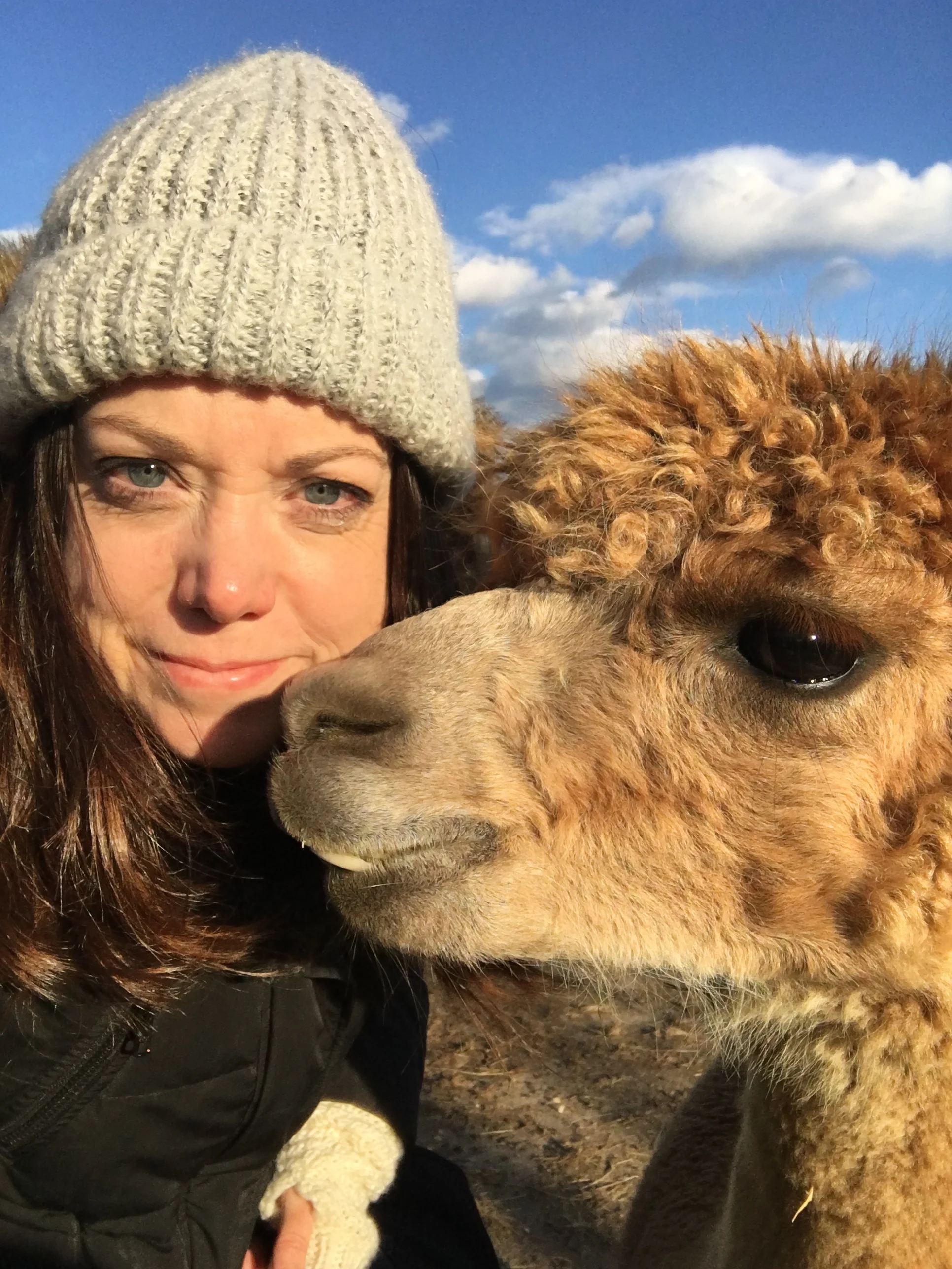 Taken with my iPhone while I cross this year's alpaca selfie off the list.&nbsp;