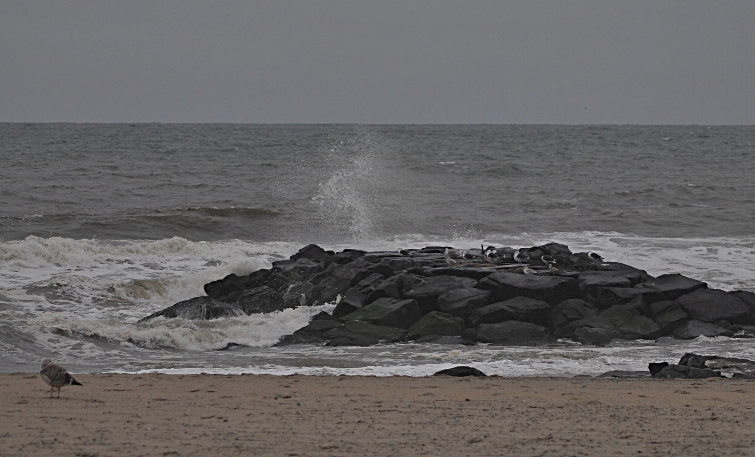 It was sort of a gray day at the beach...