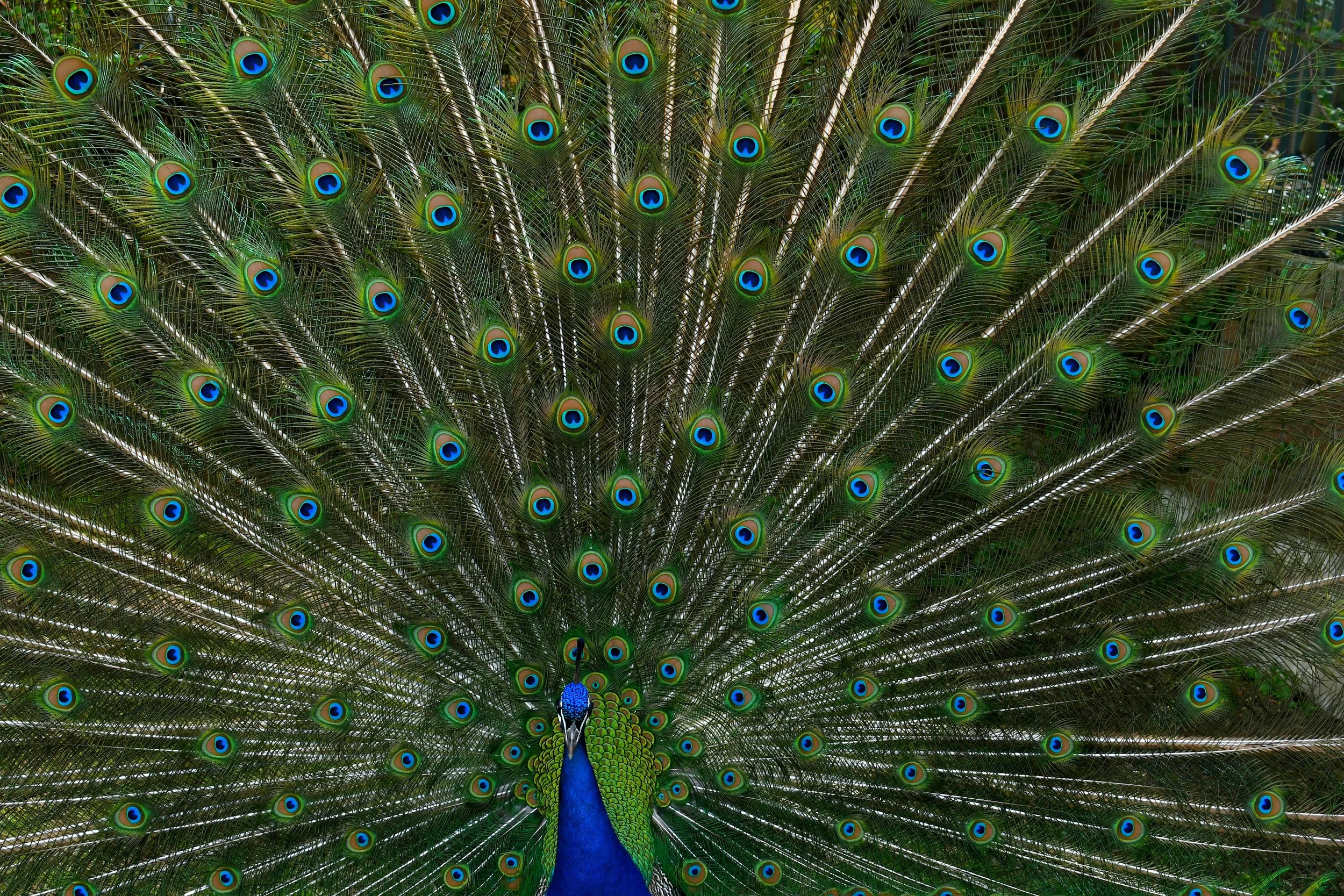 Don't let your kids molest animals when the employees of the place with the animals specifically told you TO NOT MOLEST THE ANIMALS. &nbsp;Also stop filming your kid being jerk. &nbsp;