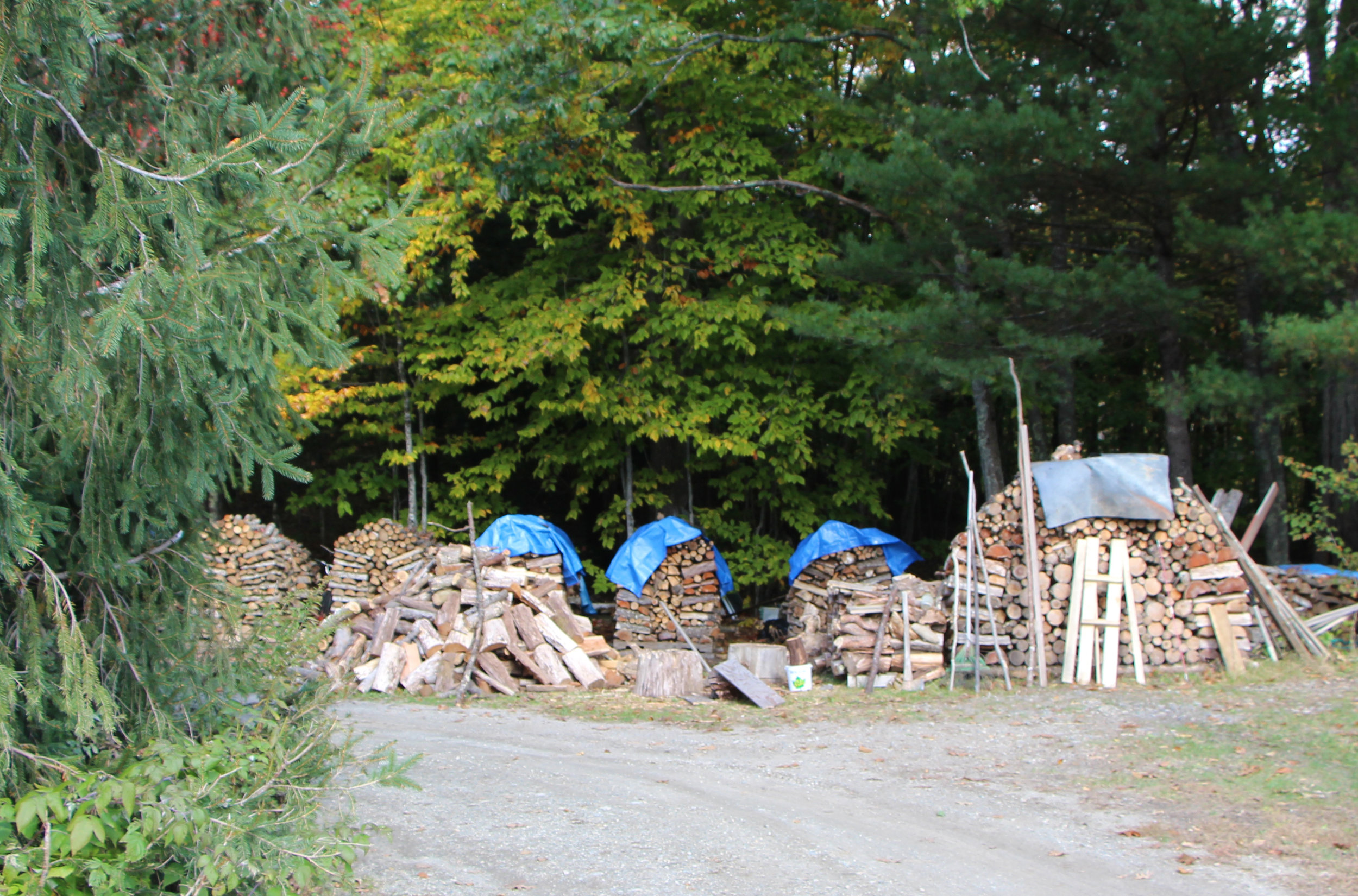 Having 10-15 chords of wood, all hand-chopped and nicely stacked is a standard occurrence for the Chadwick's, as it is for many residents in Maine.