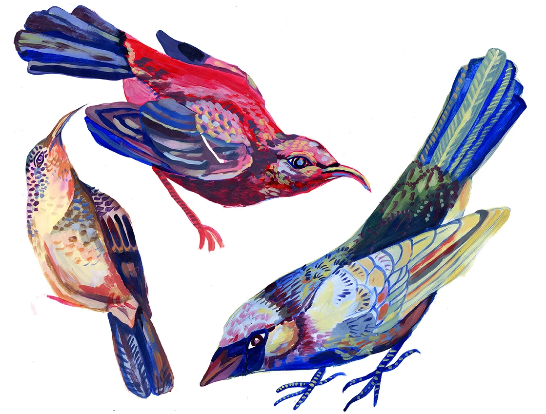 birds2.jpg