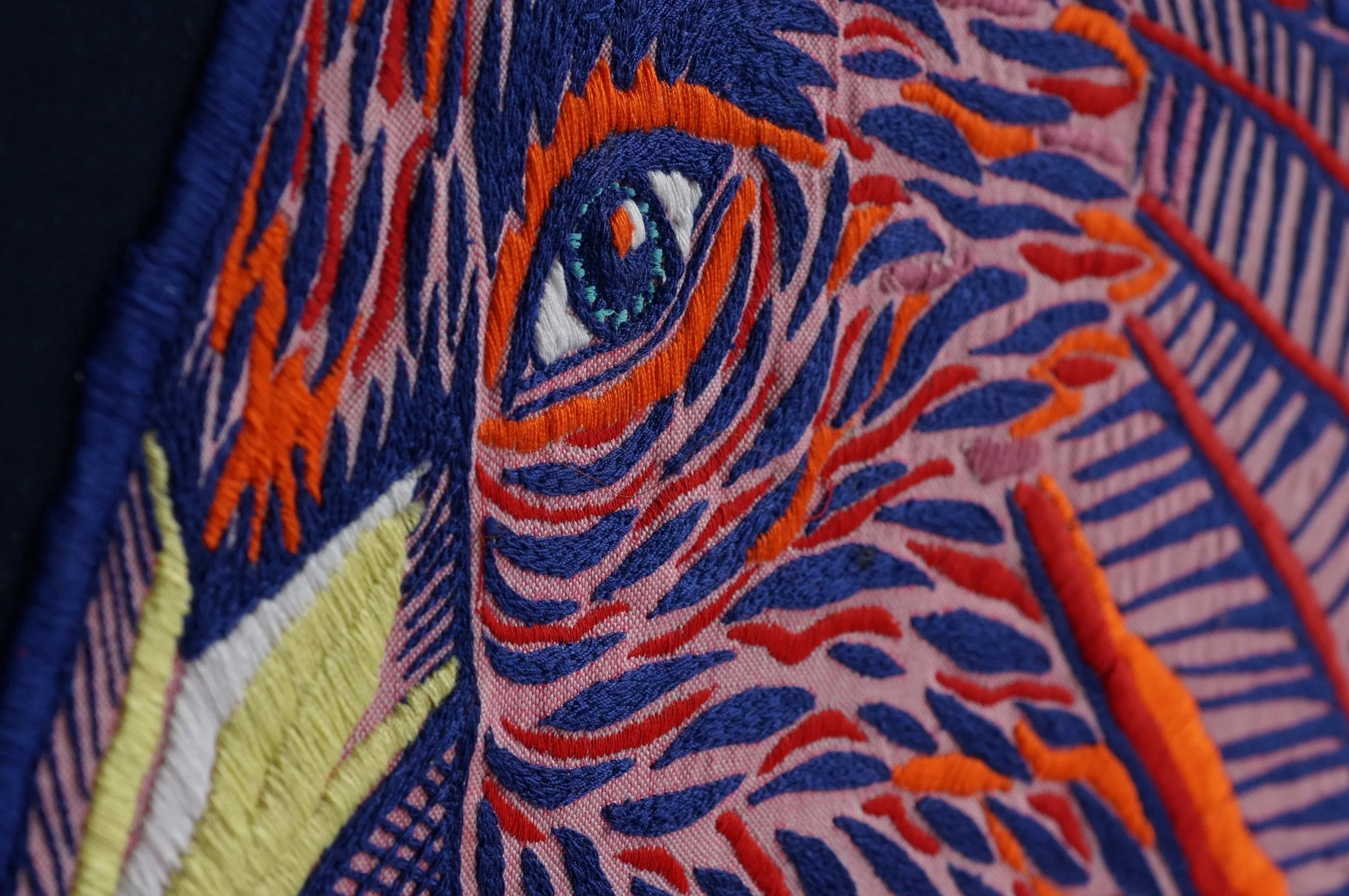   A Phoenix Yet in Flames    87 x 123 cm, Embroidery, beading and applique on mixed material   A phoenix sits on a skull, its tail afire, about to burst into light. A lone goose, bereft of mate or flock is mourning, a woman hides in the foliage. A sc