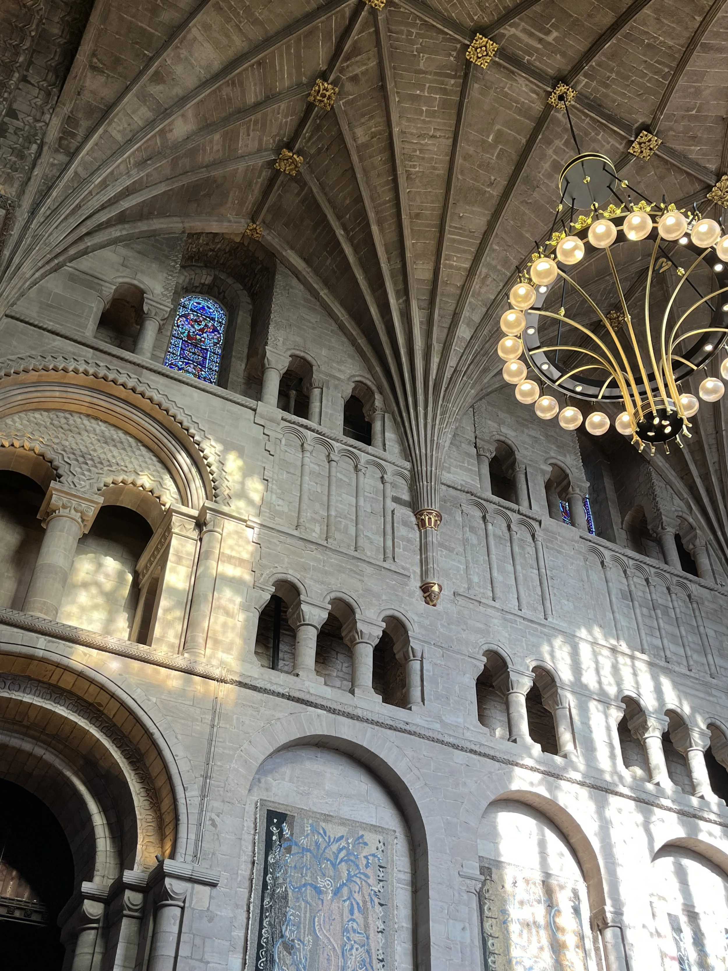 IMG_1336.jpeg