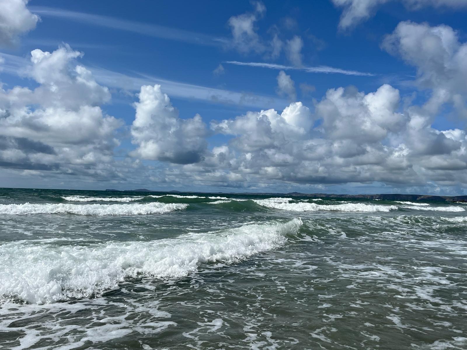 91d349c8-5928-4749-bc90-124c0c371c1d.jpeg