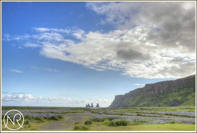 Gay destination wedding photography Iceland
