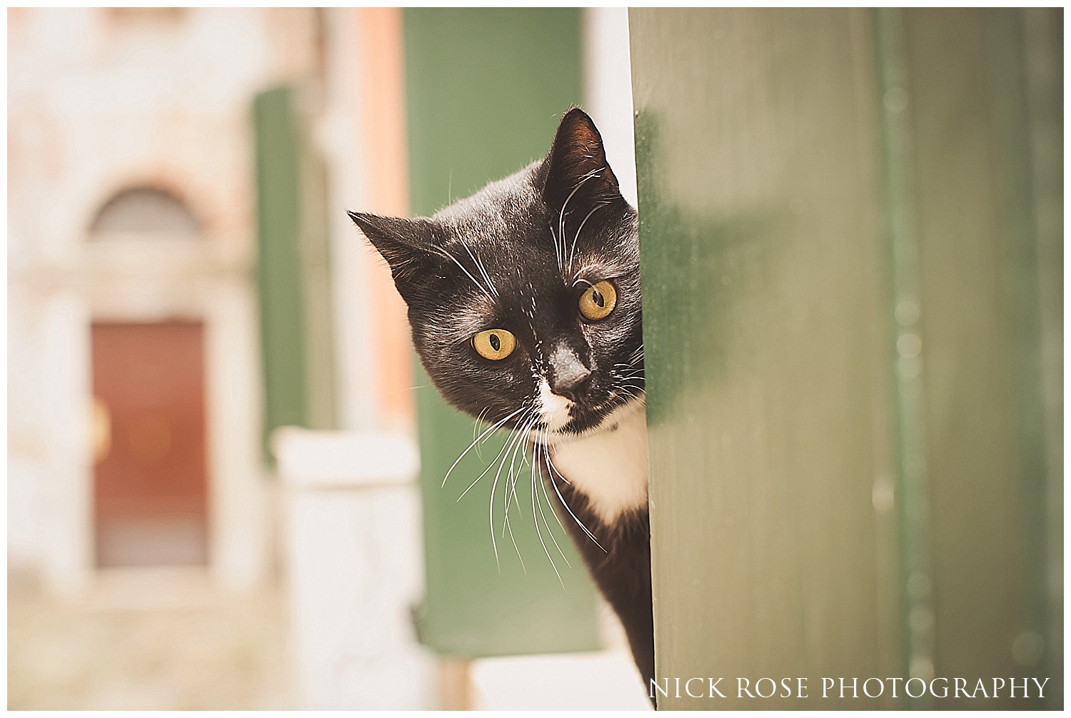 Italy engagement session