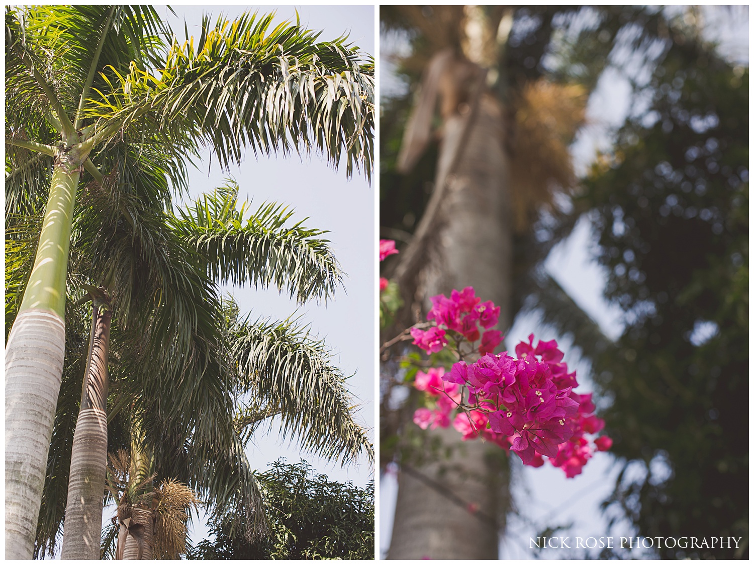 Jockey Club Wedding Photographer Hong Kong