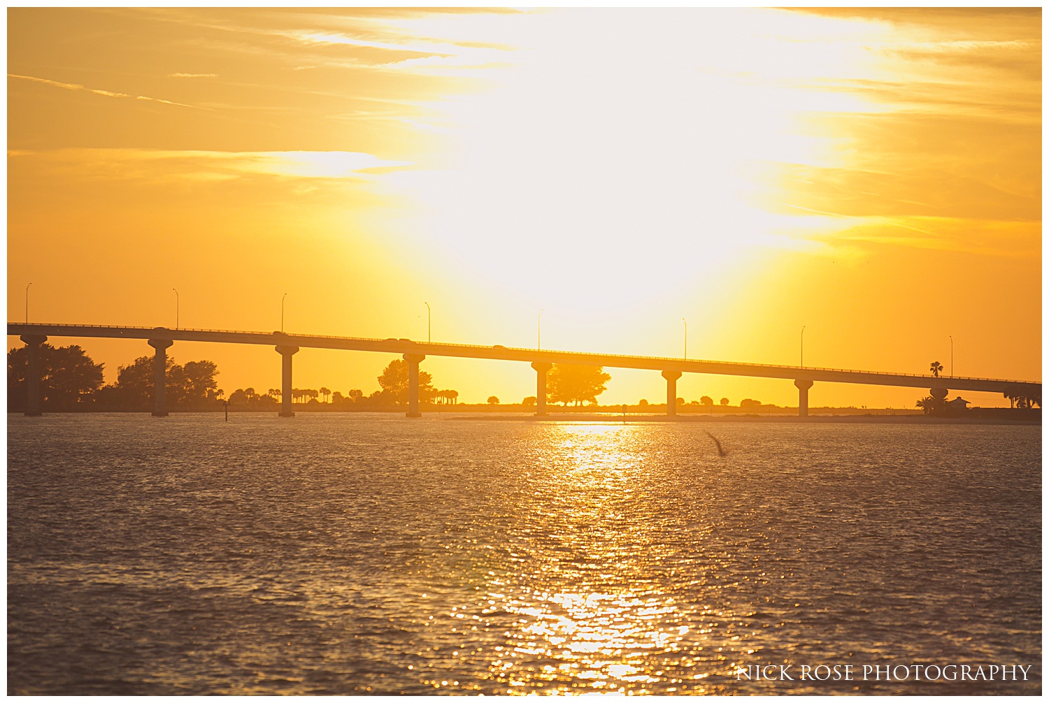 Starlight Cruise Wedding Photography Clearwater