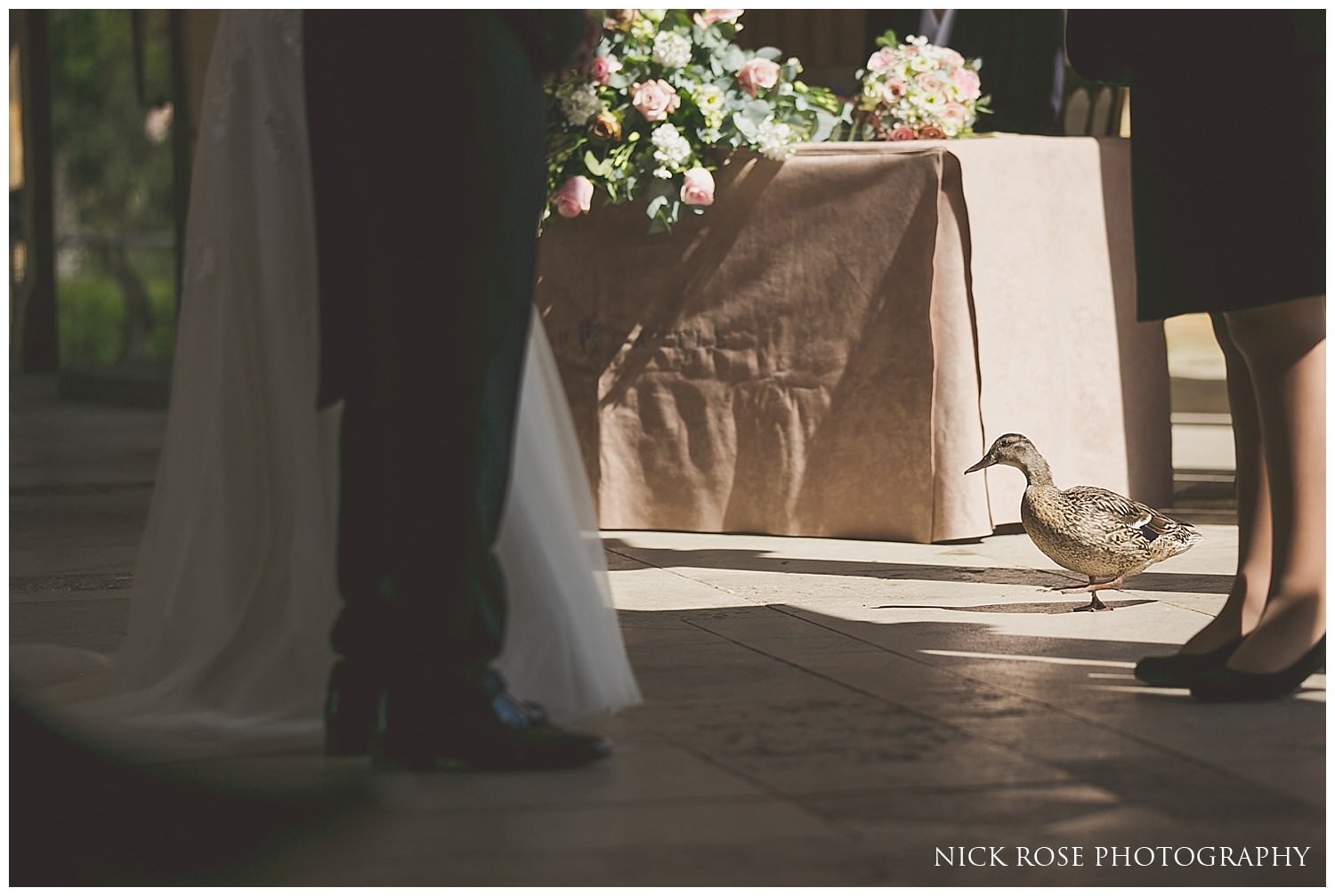  Family of ducks watching a civil wedding ceremony at Hever Castle in Kent 