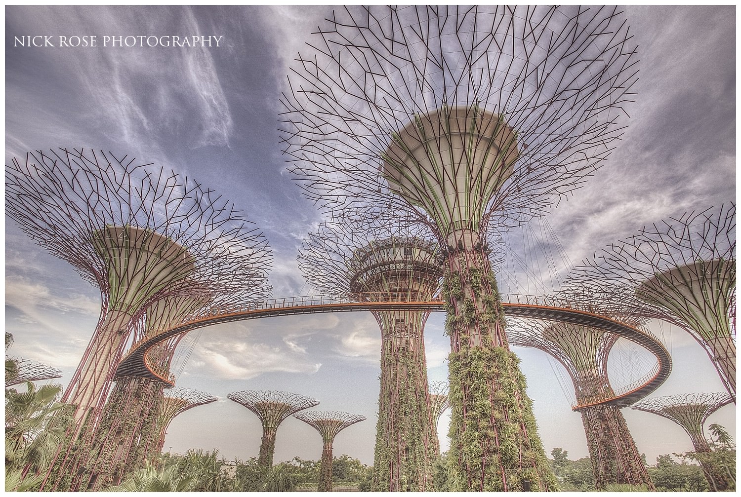  View of the Gardens by the Bay at Marina Bay in Singapore during a pre wedding shoot 