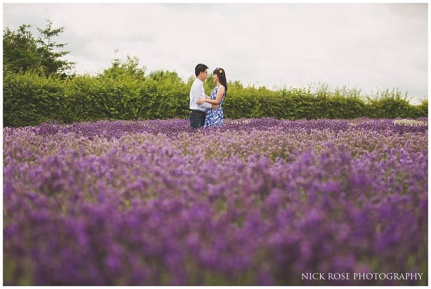  Couple standing in a lavender field during a Snowshill Lavender Farm pre wedding photography shoot 