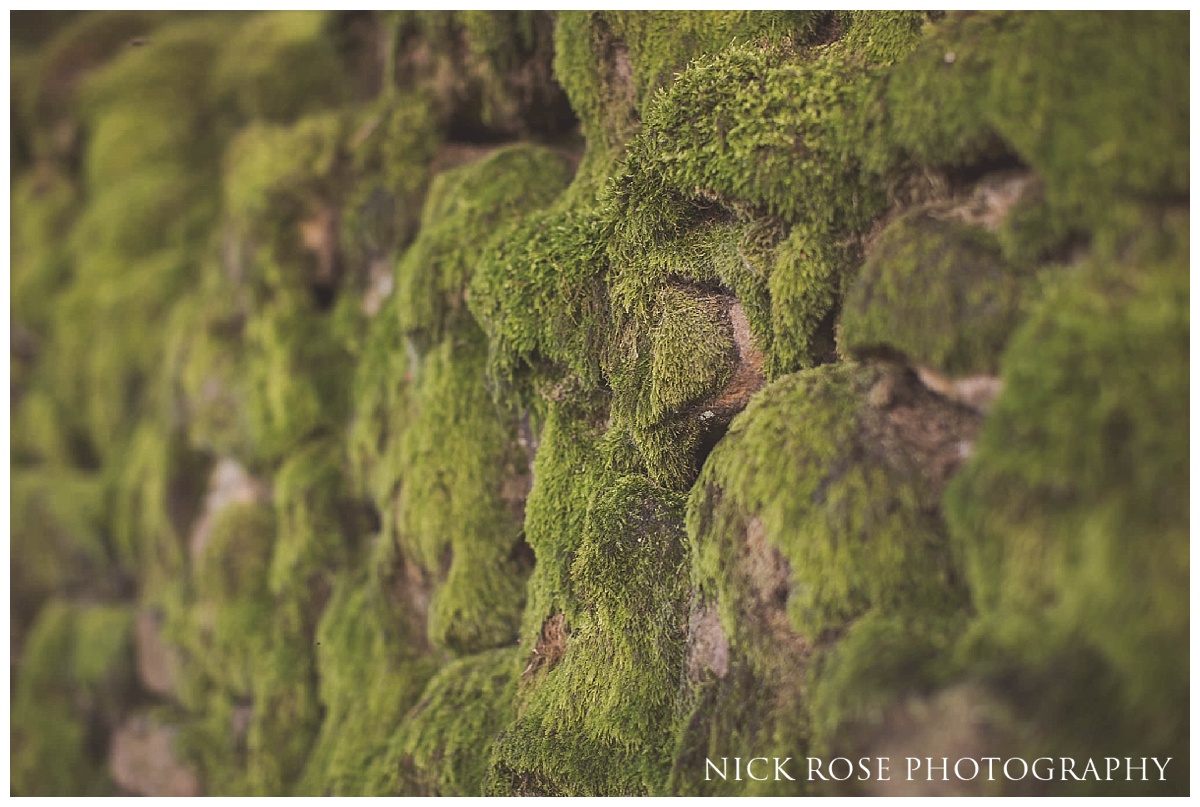  Green moss in the Peak District 