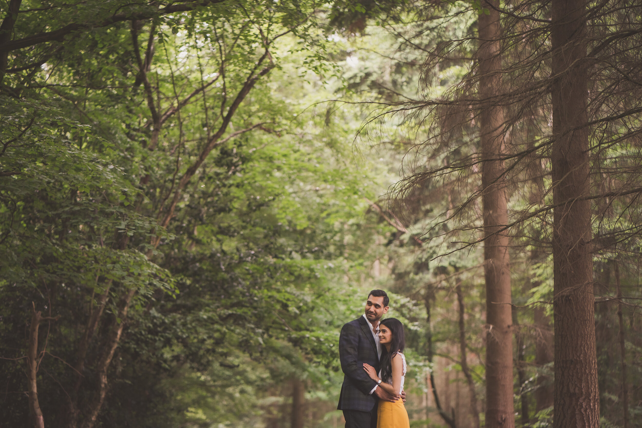 Saneil and Roshni Pre Wedding Highlights-9.jpg