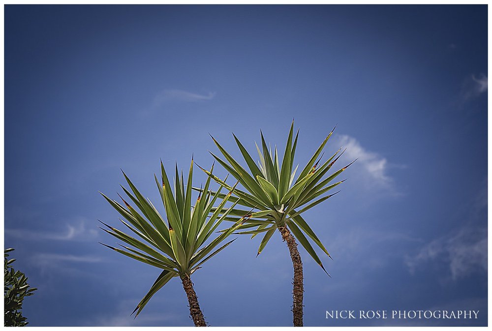 Blue skies and palm trees at the Pine Cliffs Hotel in the Algarve Portugal 