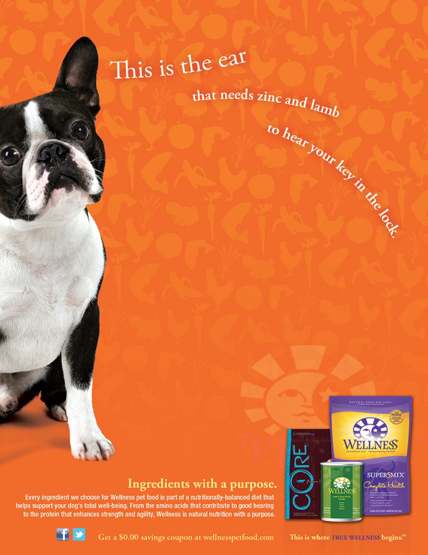 dog2.png