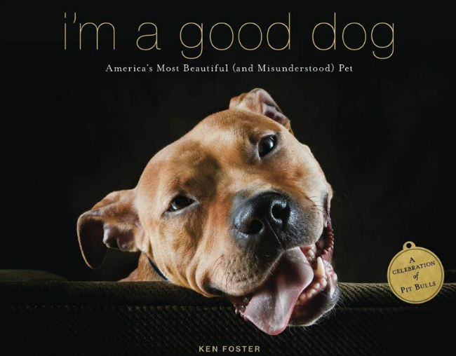 pitbull-book-im-a-good-dog.jpg
