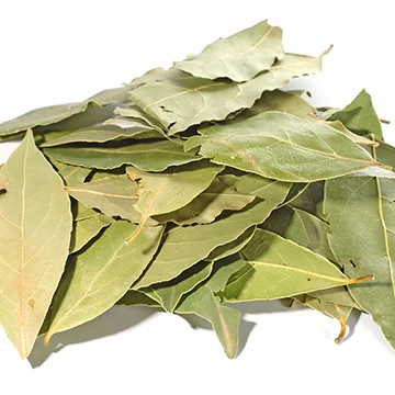 Sweet, balsamic fragrance and very strong in flavor. Bay leaves are used in stocks, soups, stews, sauces and pickles because they yield their flavor slowly.
Normal
0
false
false
false
EN-US
JA
X-NONE
/* Style Definitions */
table.MsoNormalTable
{mso-style-name:"Table Normal";
mso-tstyle-rowband-size:0;
mso-tstyle-colband-size:0;
mso-style-noshow:yes;
mso-style-priority:99;
mso-style-parent:"";
mso-padding-alt:0in 5.4pt 0in 5.4pt;
mso-para-margin:0in;
mso-para-margin-bottom:.0001pt;
mso-pagination:widow-orphan;
font-size:12.0pt;
font-family:"Cambria","serif";
mso-ascii-font-family:Cambria;
mso-ascii-theme-font:minor-latin;
mso-hansi-font-family:Cambria;
mso-hansi-theme-font:minor-latin;
mso-fareast-language:ZH-CN;}