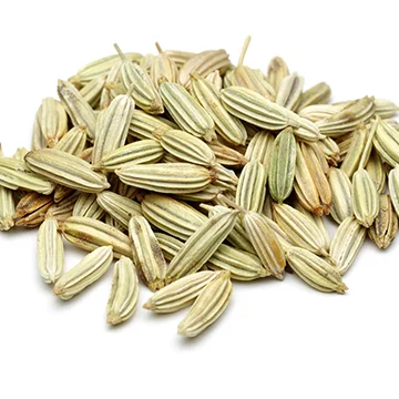 Light, sweet and delicate in flavor, similar to anise. Can be used in sauces, sausages, seasoning for fish dishes, pork roast, and even added to cheese. Known to have digestive benefits and even used in tea.