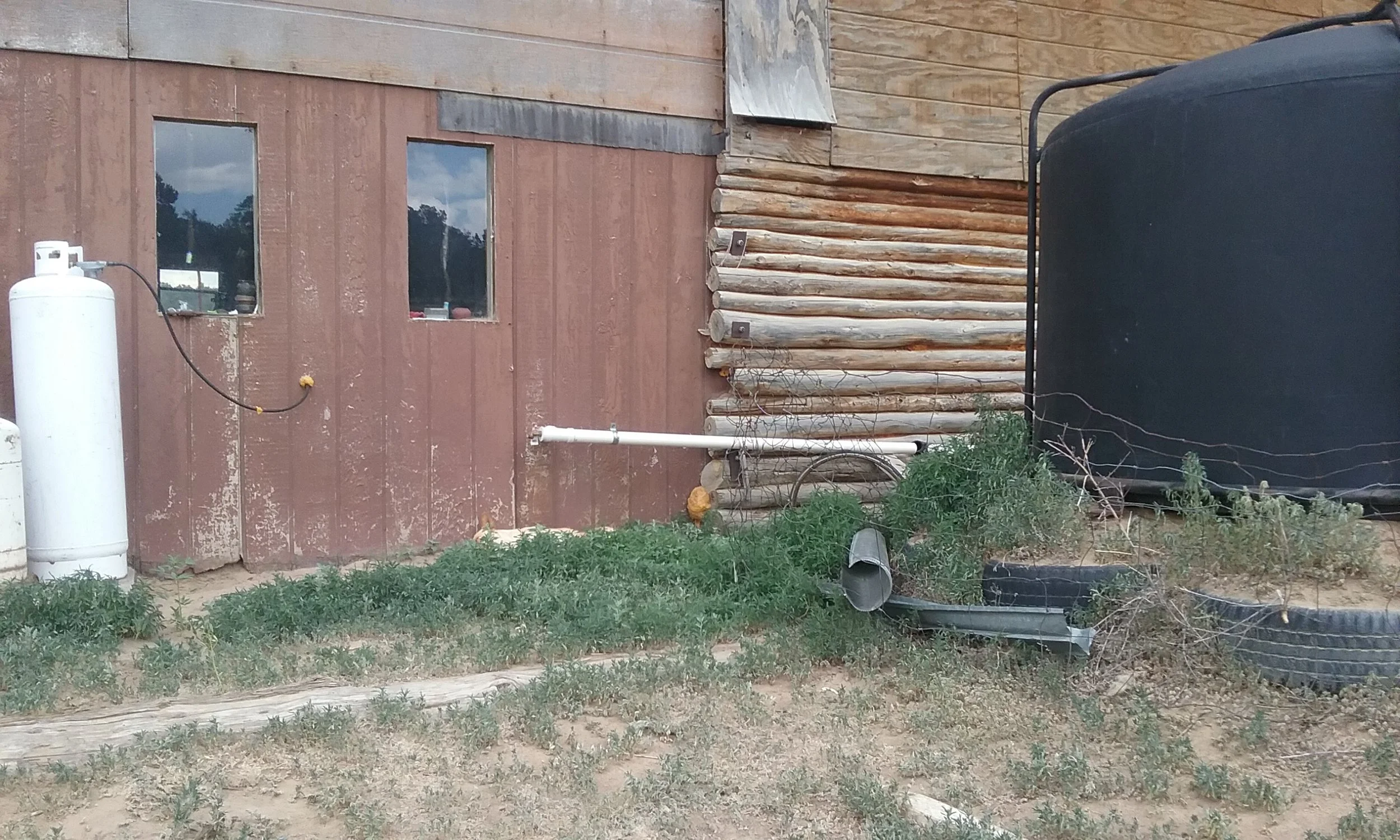 Virginia Snyder copy 2.jpg