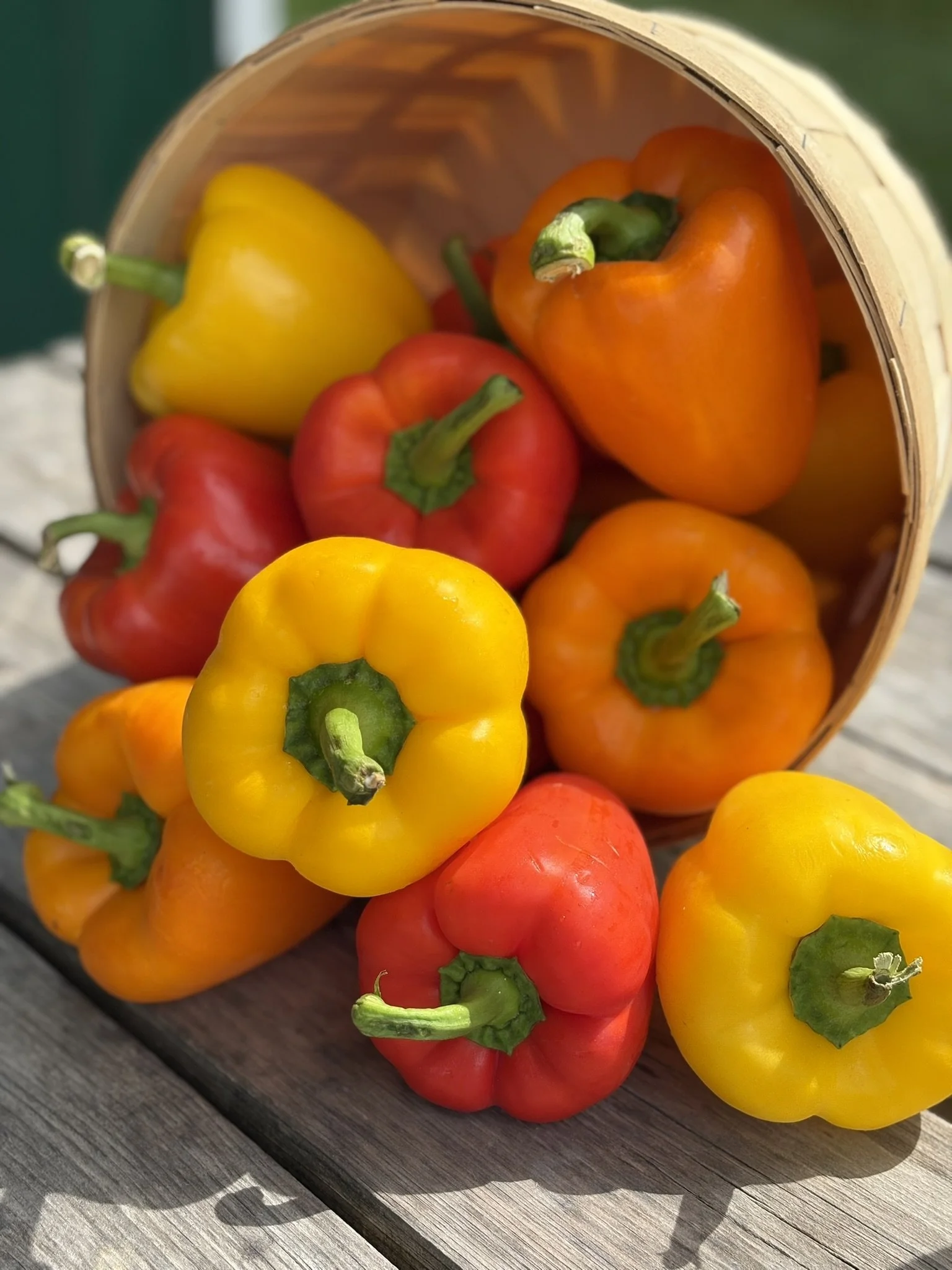 Allison's Farm Sweet Peppers.JPEG