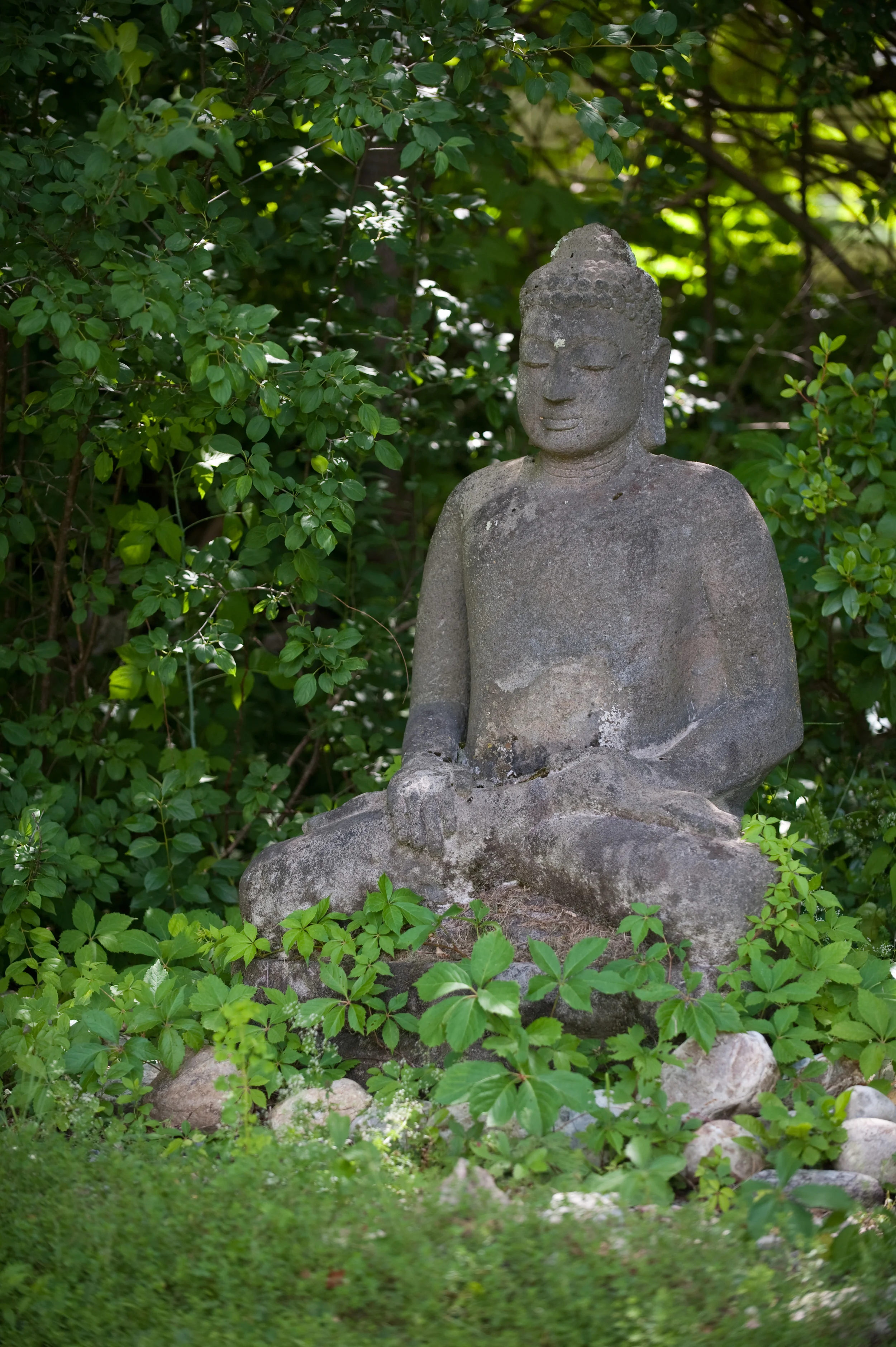 ANXIETY: BUDDHISM PRESENTS THE MOON GODDESS THE SACRED COWS, KALI AS POWERFUL WOMEN COMMANDING RESPECT AND AWE.