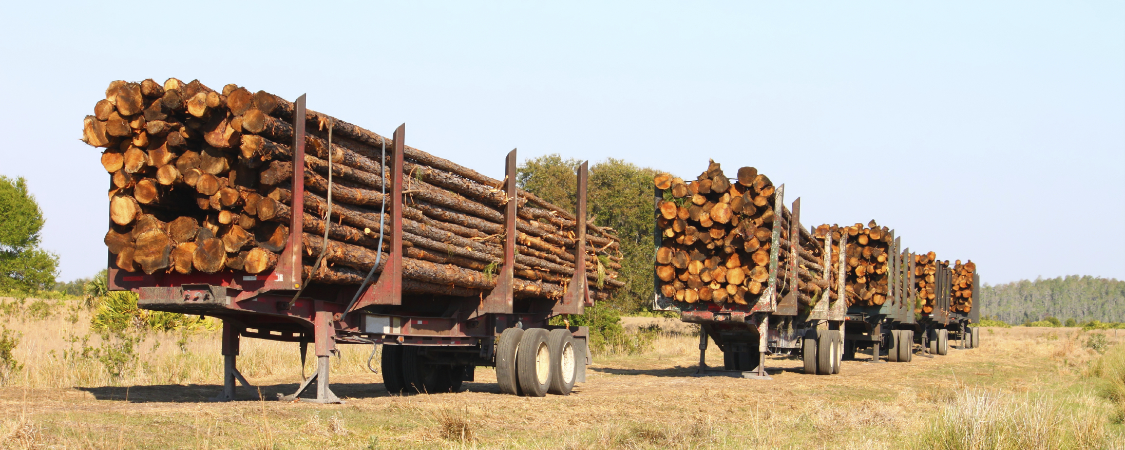 timberTrucks.jpg