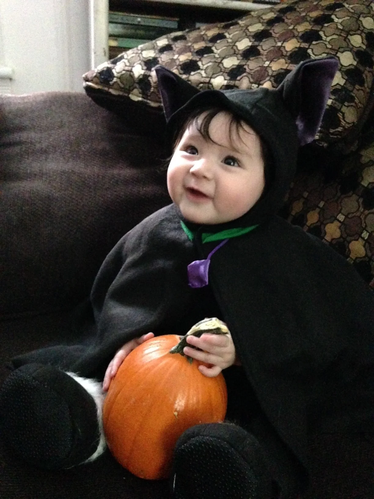 Halloween.jpg