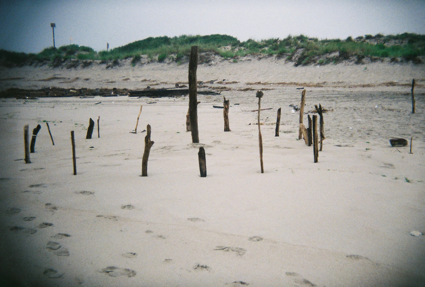 film10.jpg