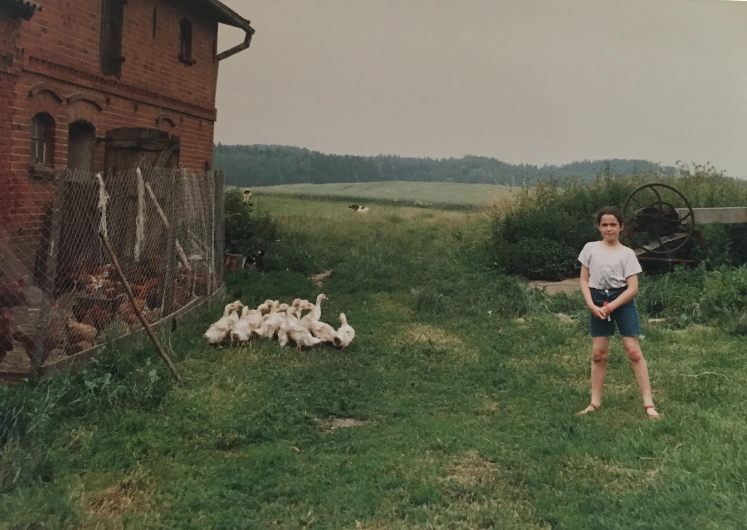Karli and a gaggle of geese