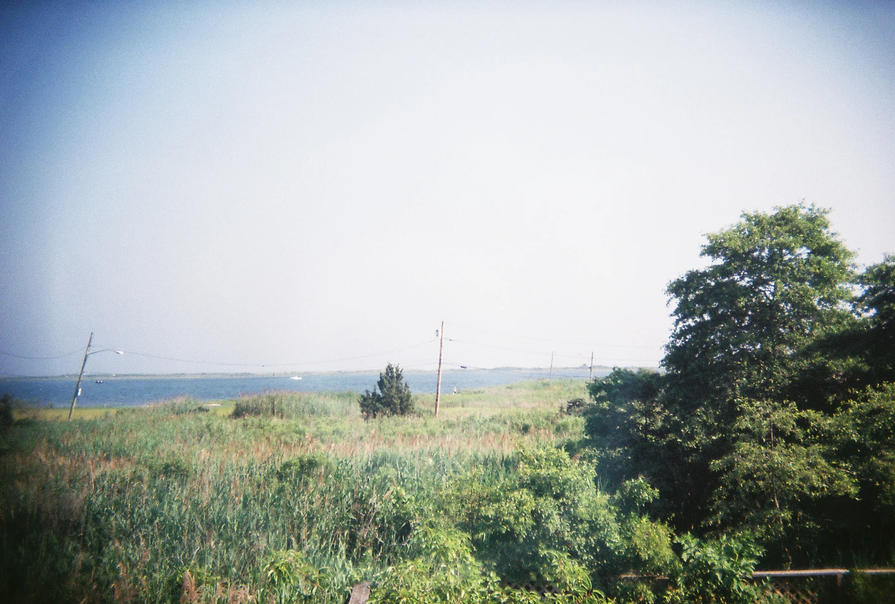 View from old house.jpg