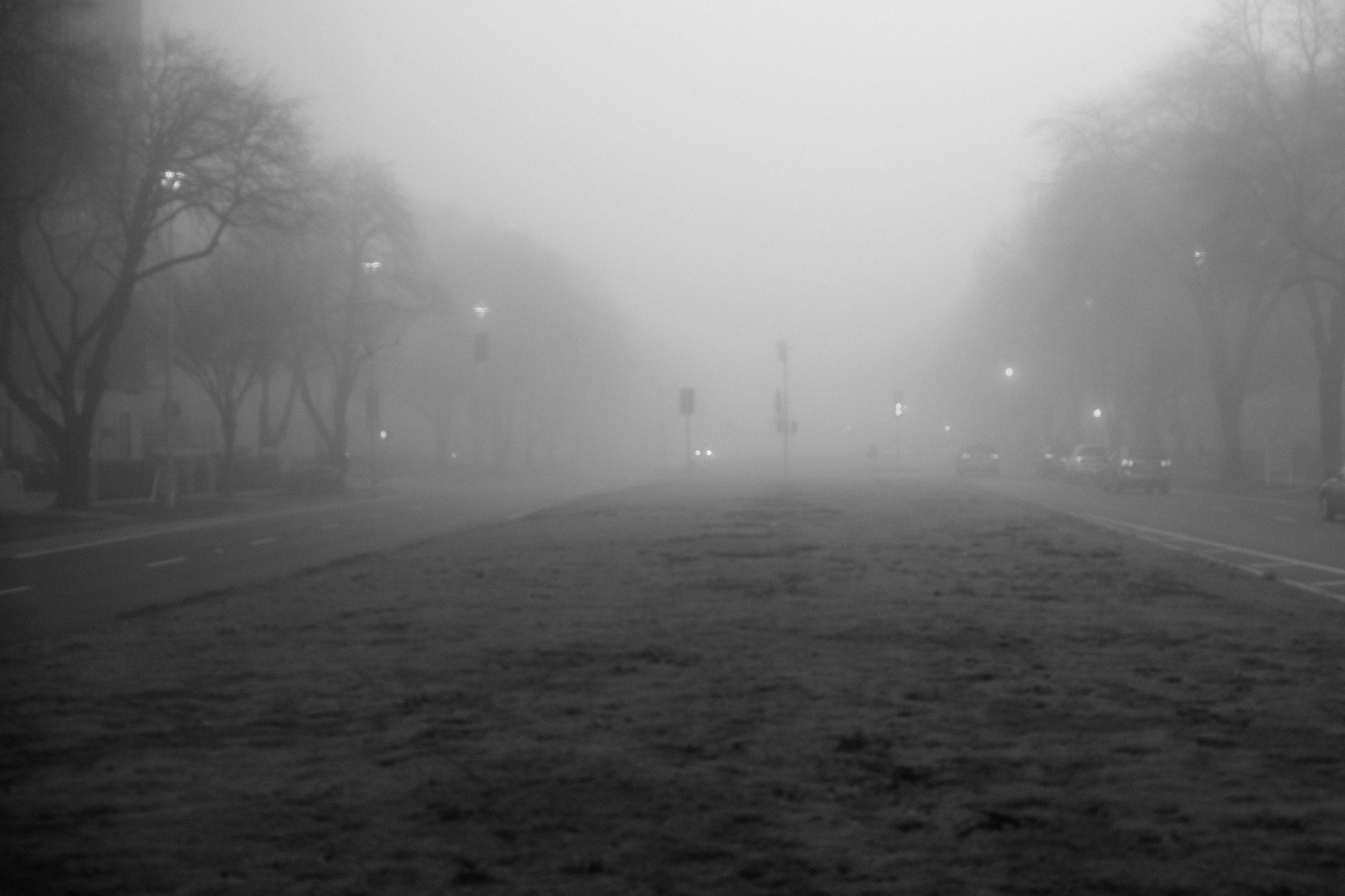 Fog Sac 2019 (3).JPG