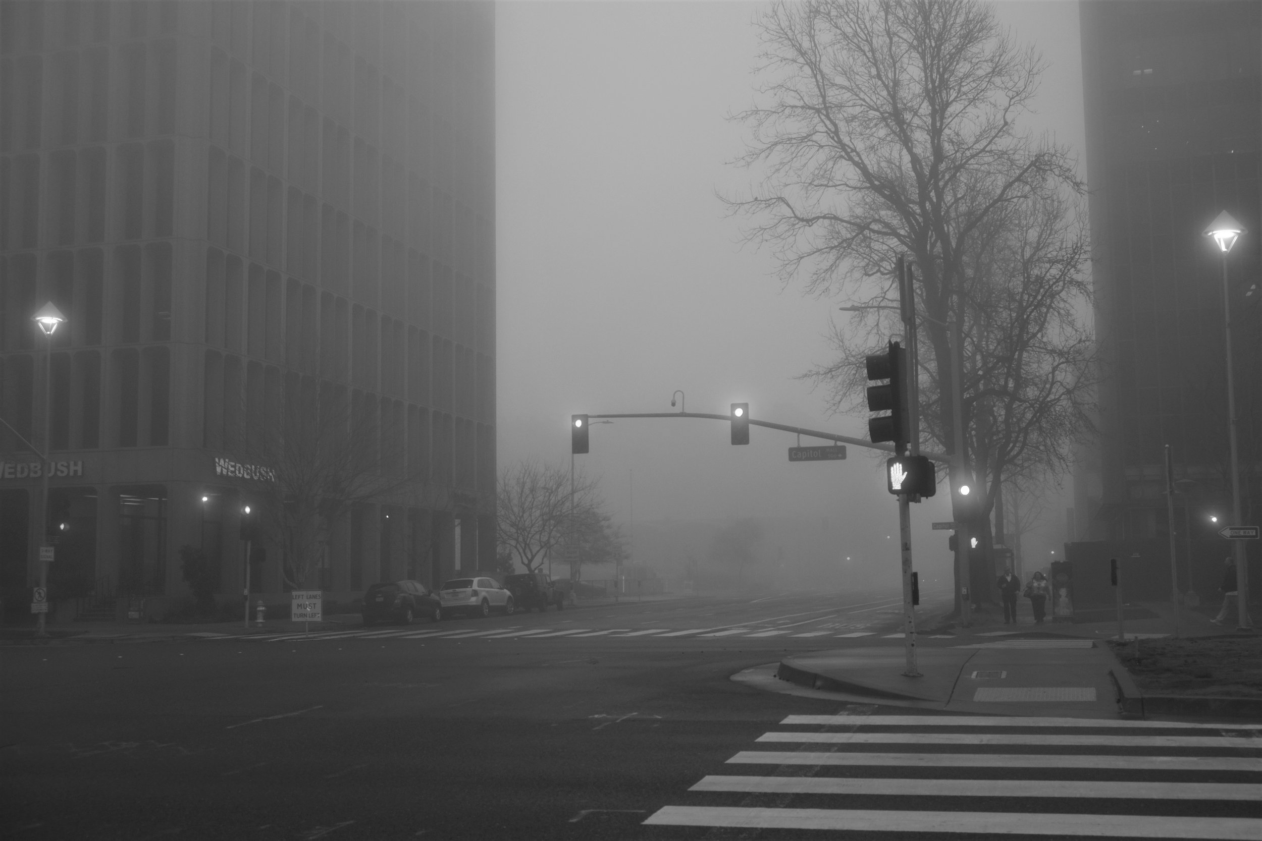 Fog Sac 2019 (2).JPG