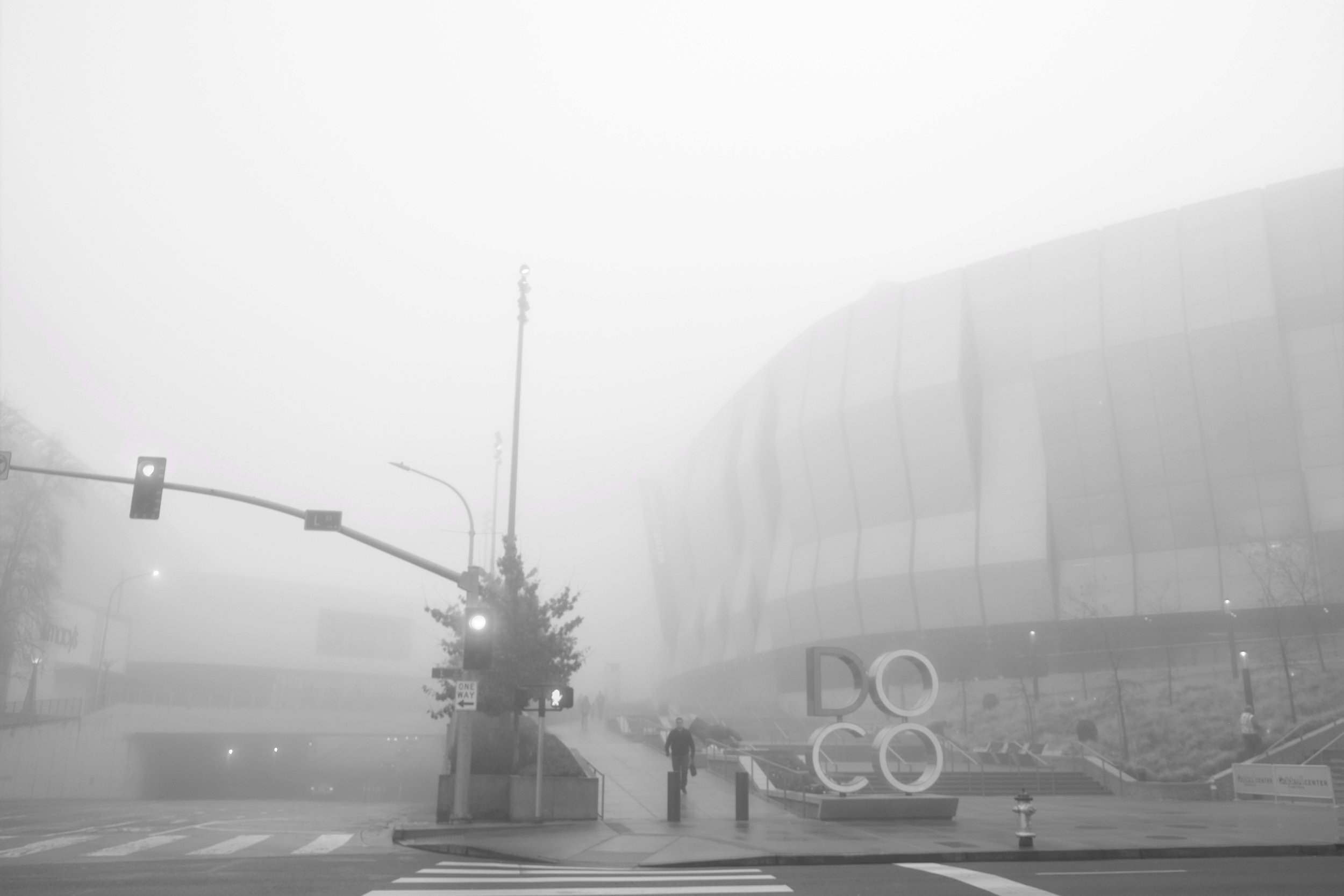Fog Sac 2019 (4).JPG