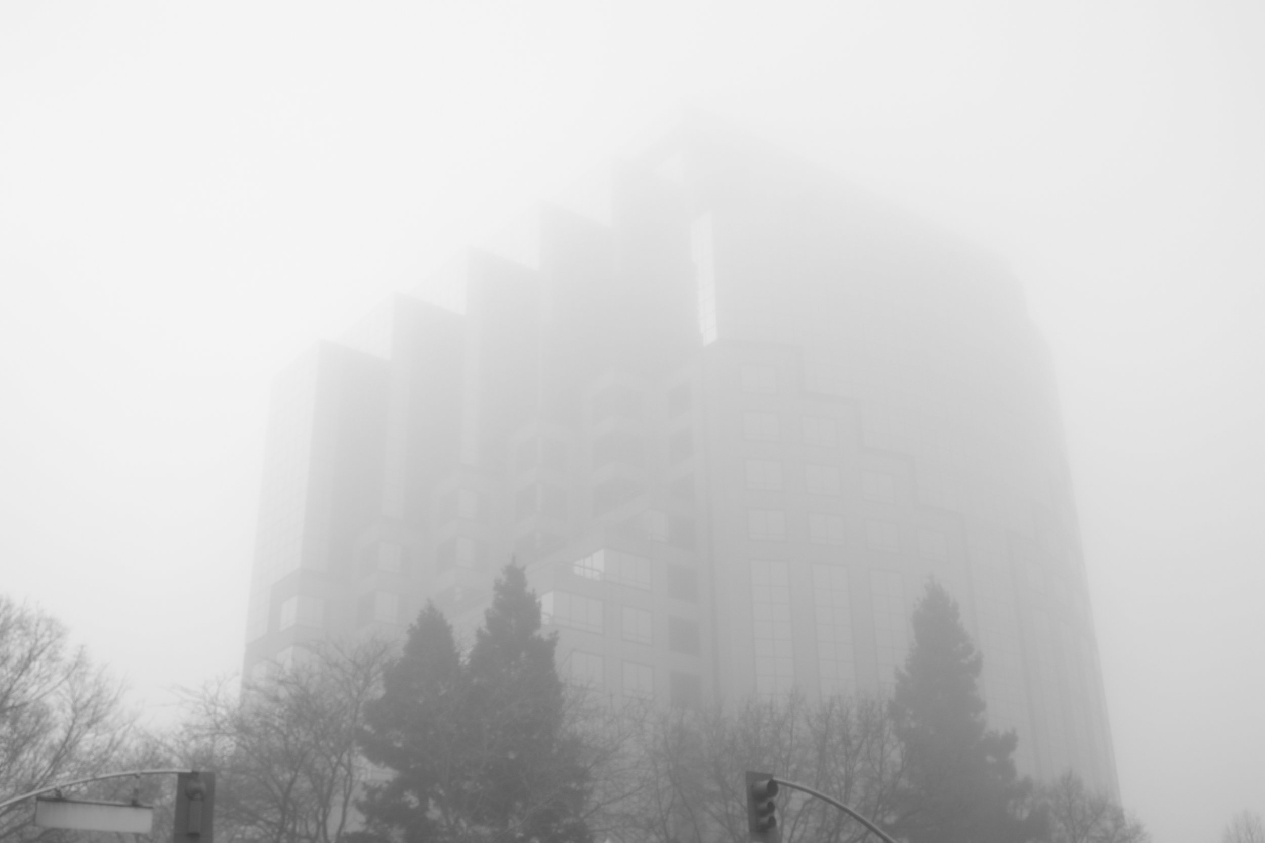 Fog Sac 2019 (14).JPG