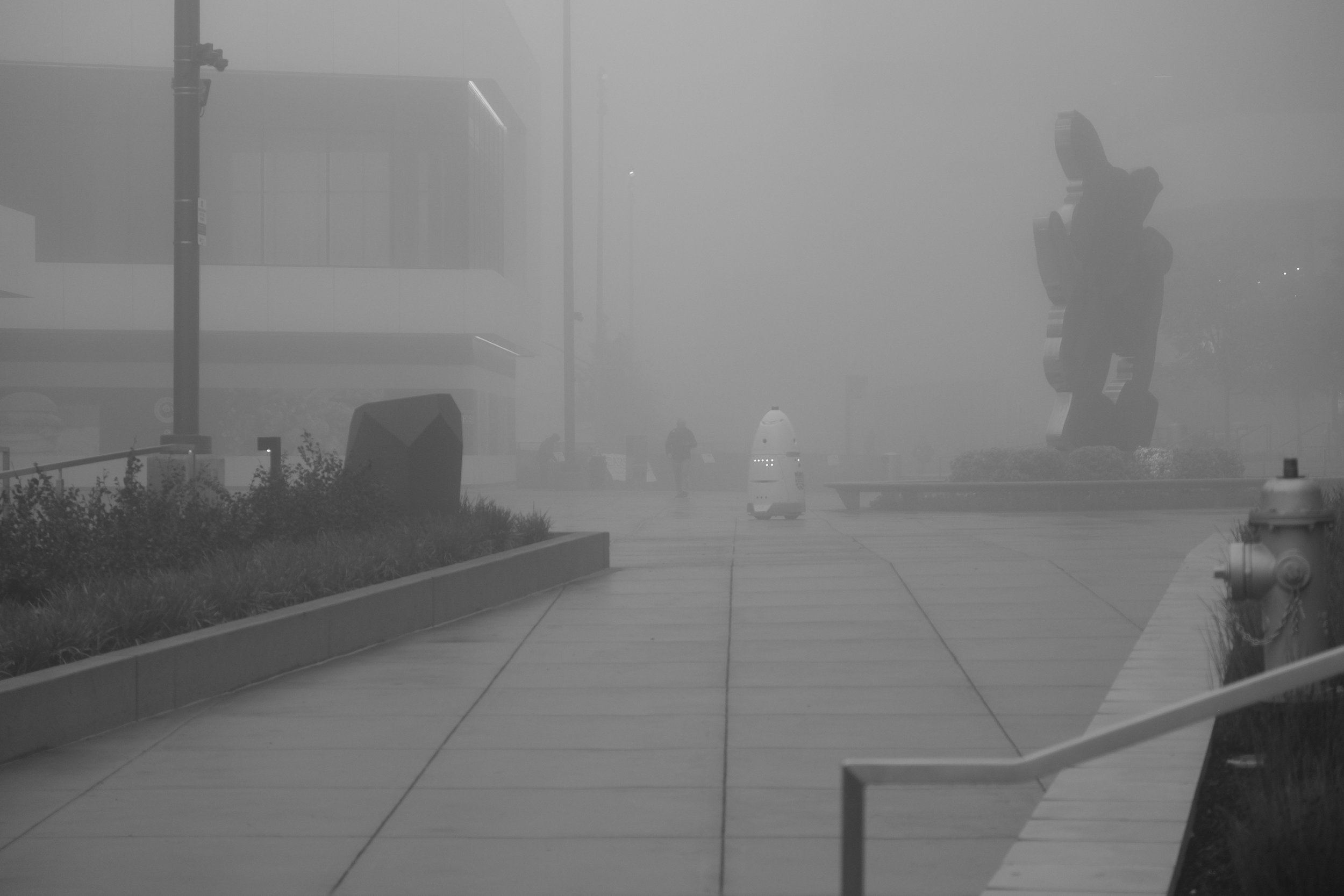 Fog Sac 2019 (5).JPG