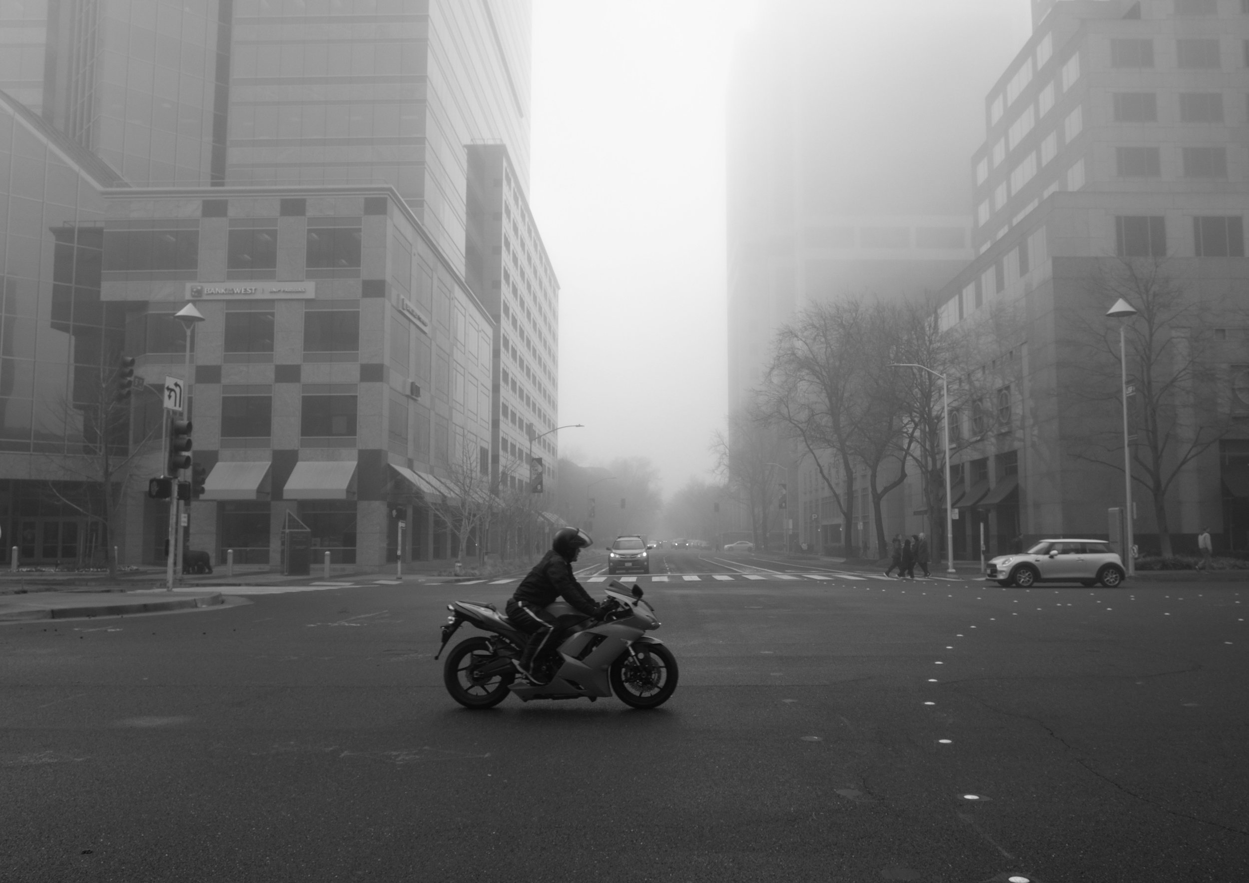 Fog Sac 2019 (13).JPG