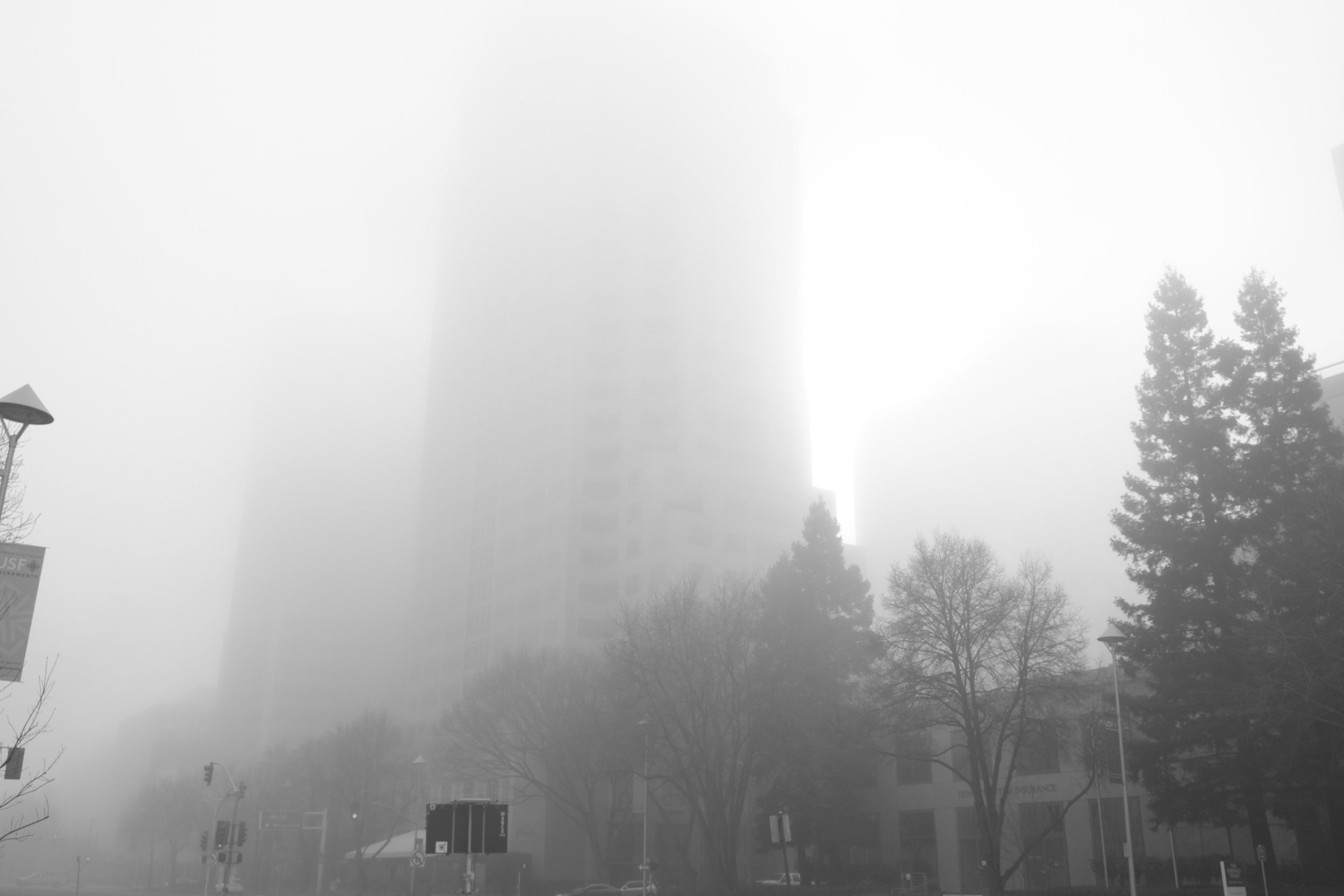 Fog Sac 2019 (15).JPG