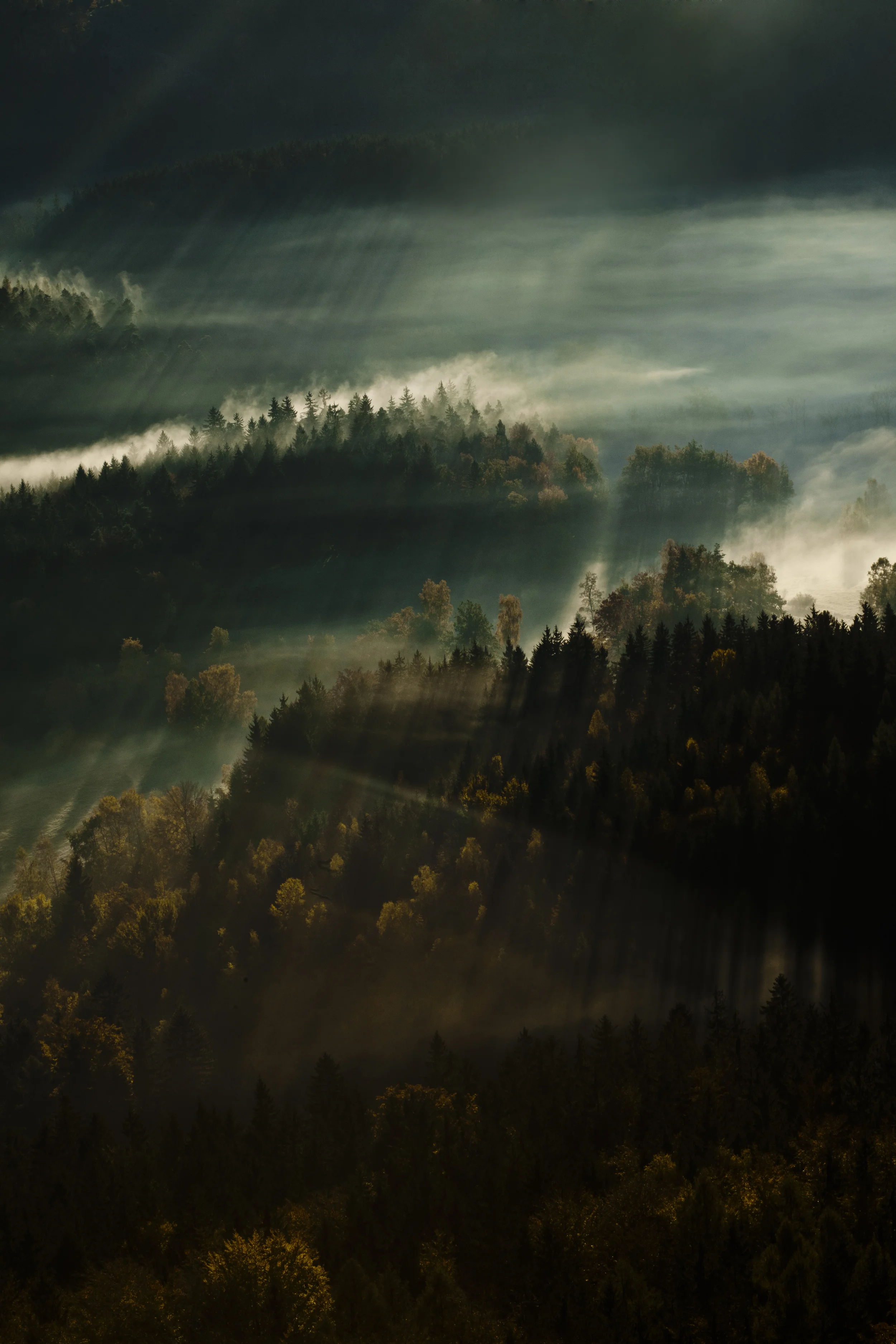 shutterstock_117647296.jpg