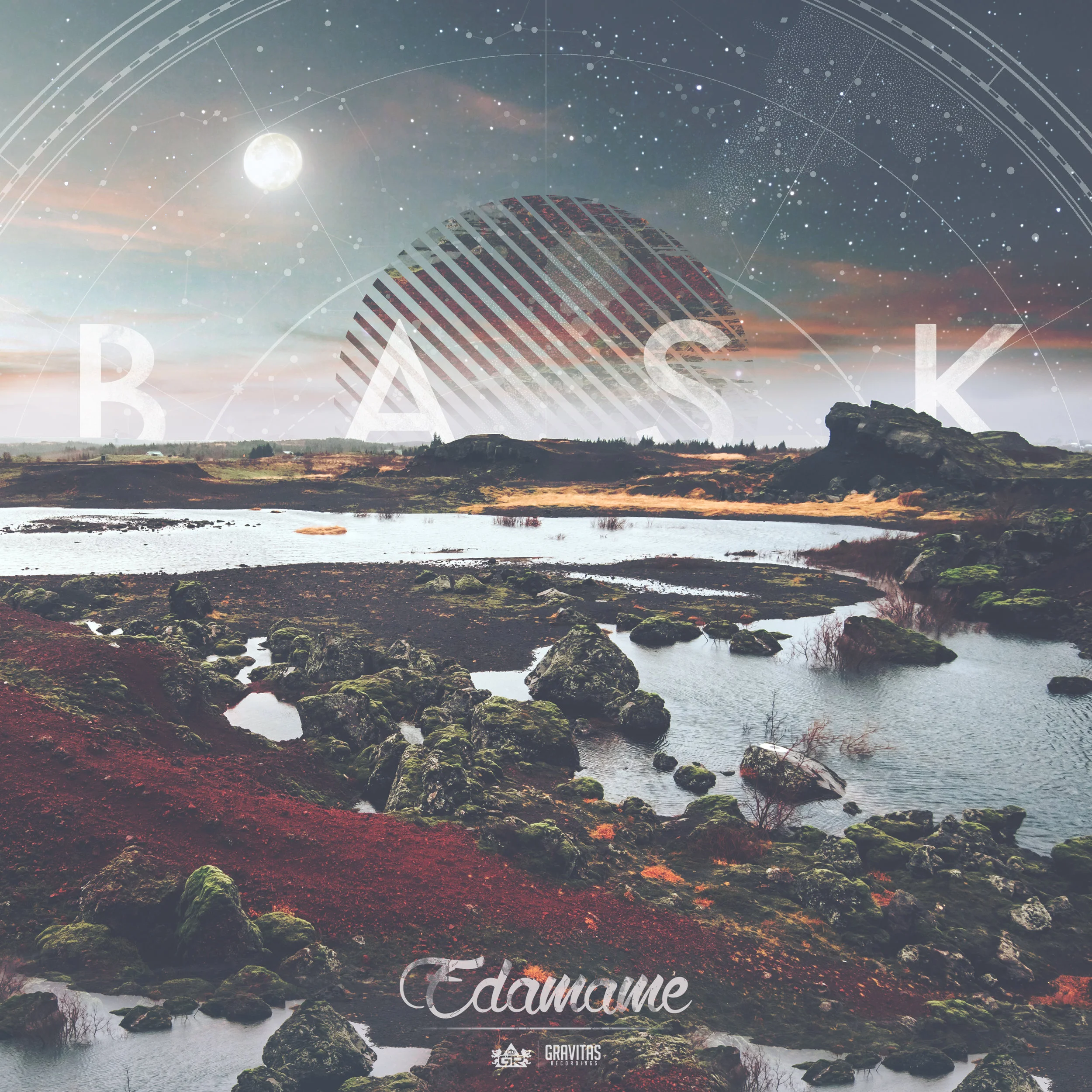 BASK IS OUT TODAY!